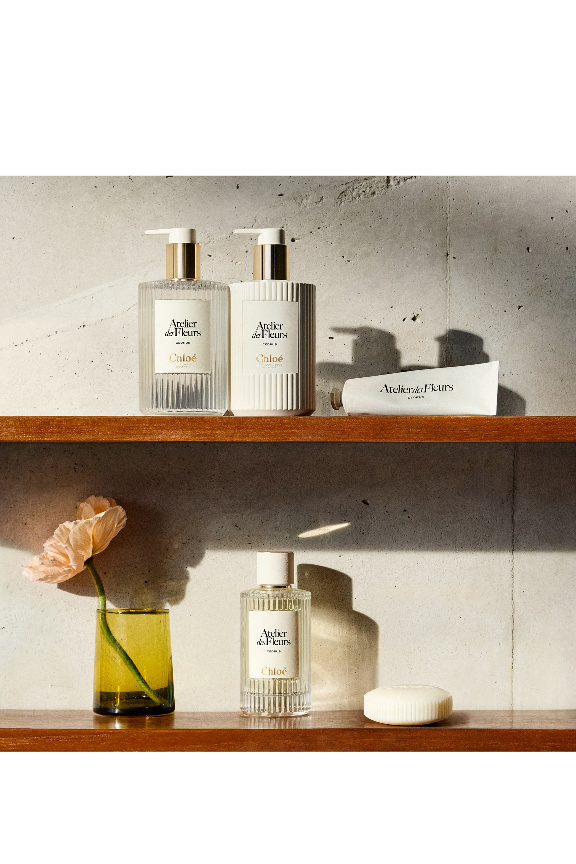 Atelier des Fleurs Santalum Perfumed Body Lotion