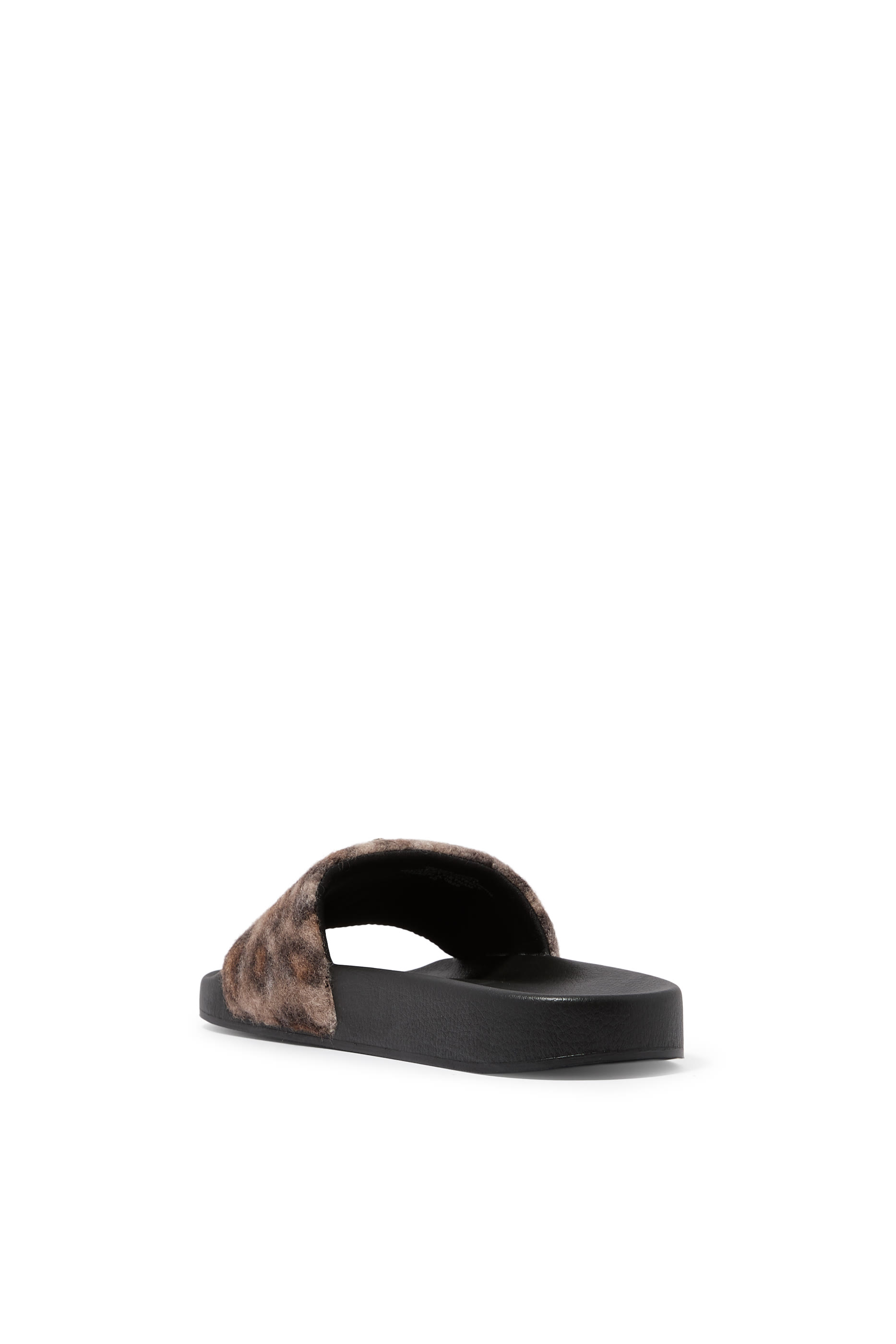 Meena Eagle Slides