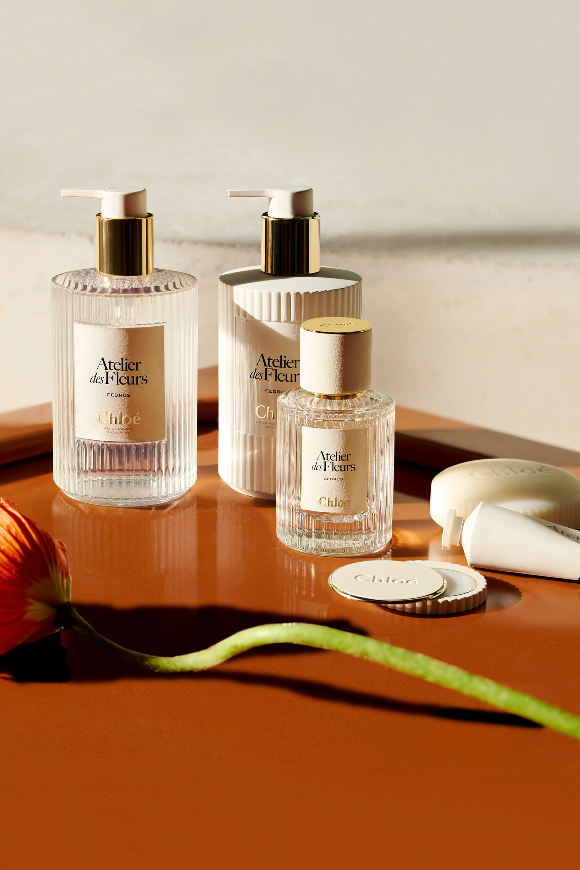 Atelier des Fleurs Santalum Perfumed Body Lotion