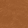 Cool Golden (C-076)