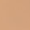 2N1 DESERT BEIGE