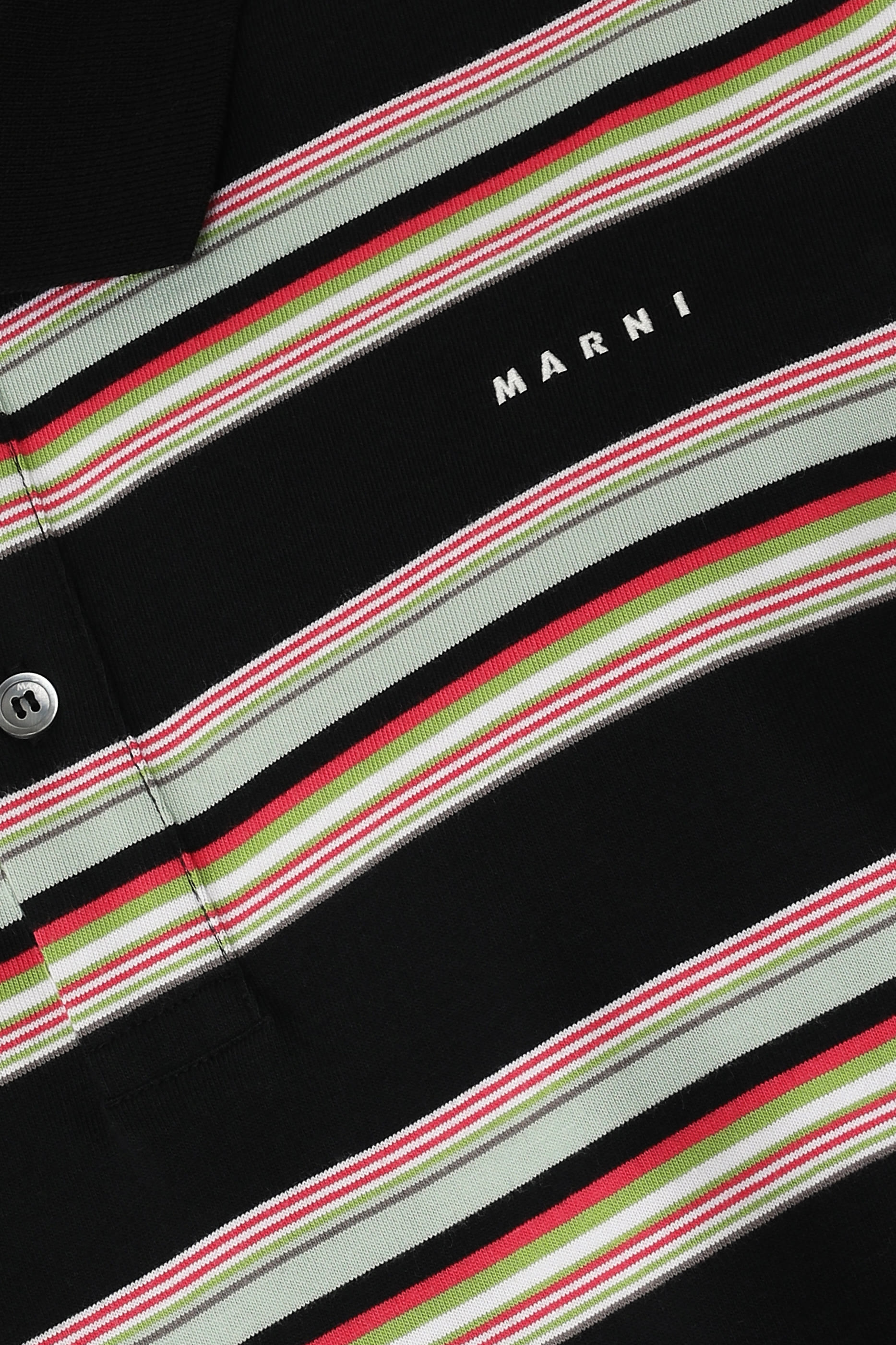 Striped Polo Shirt