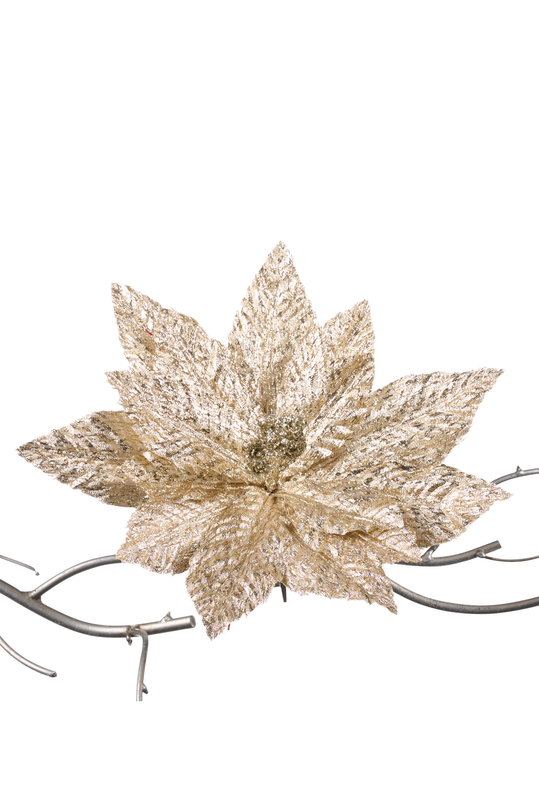 Poinsettia on Clip