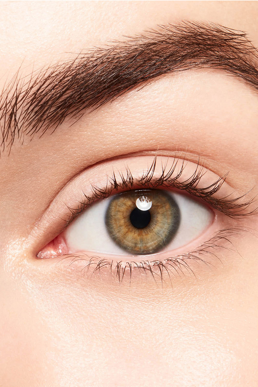 Monsieur Big Mascara