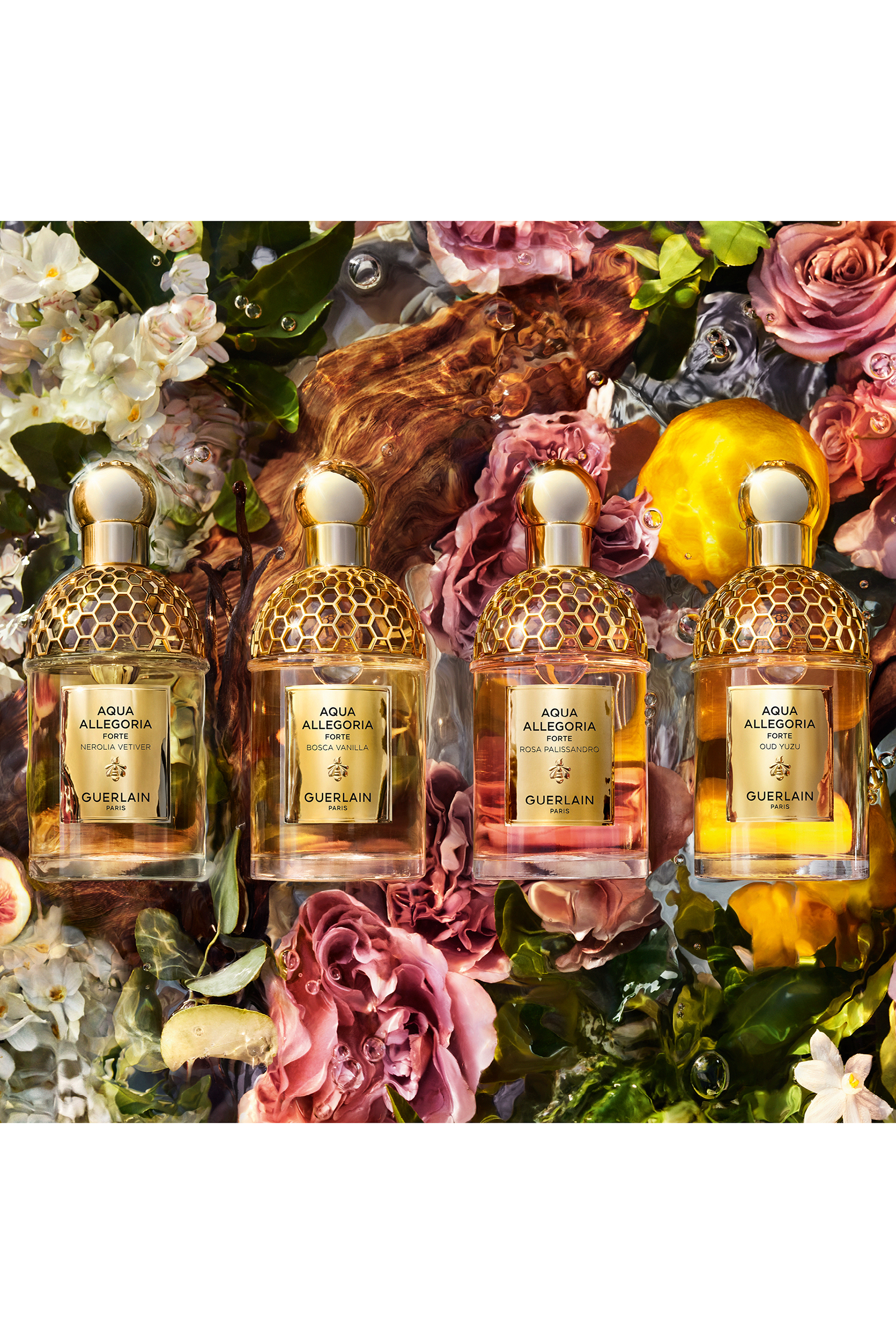 Aqua Allegoria Forte Bosca Vanilla Eau de Parfum