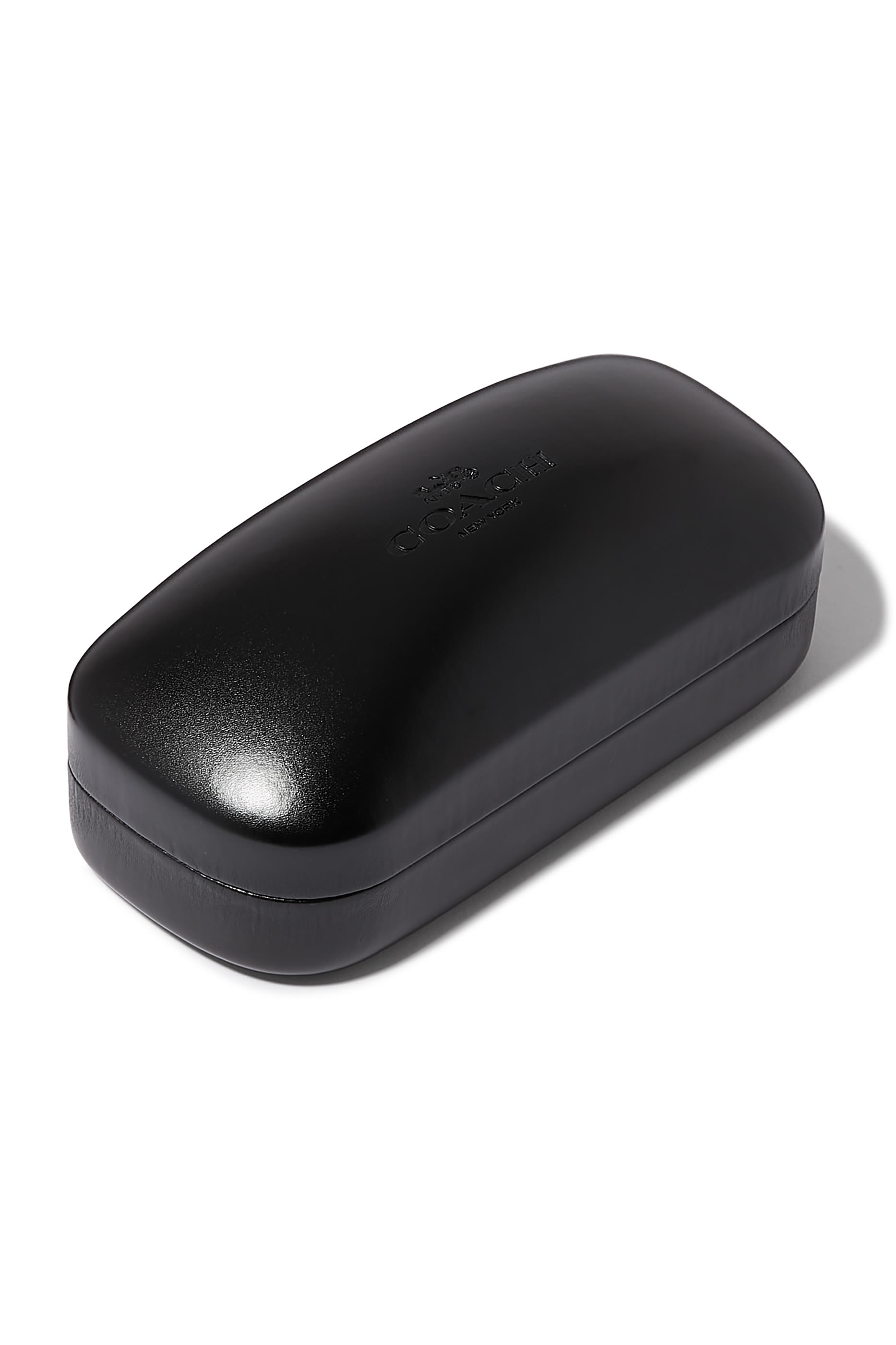 Wayfarer Frame NY Temple Sunglasses