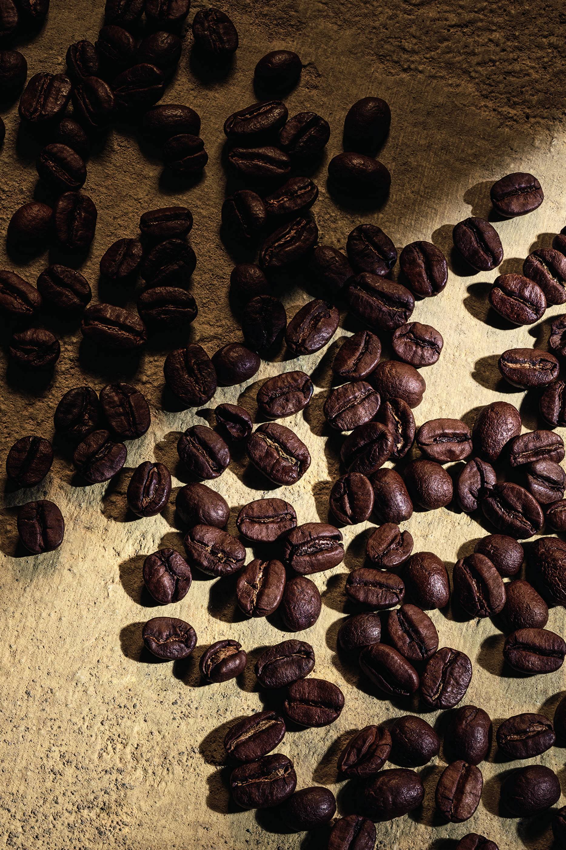 Devotion Male Parfum