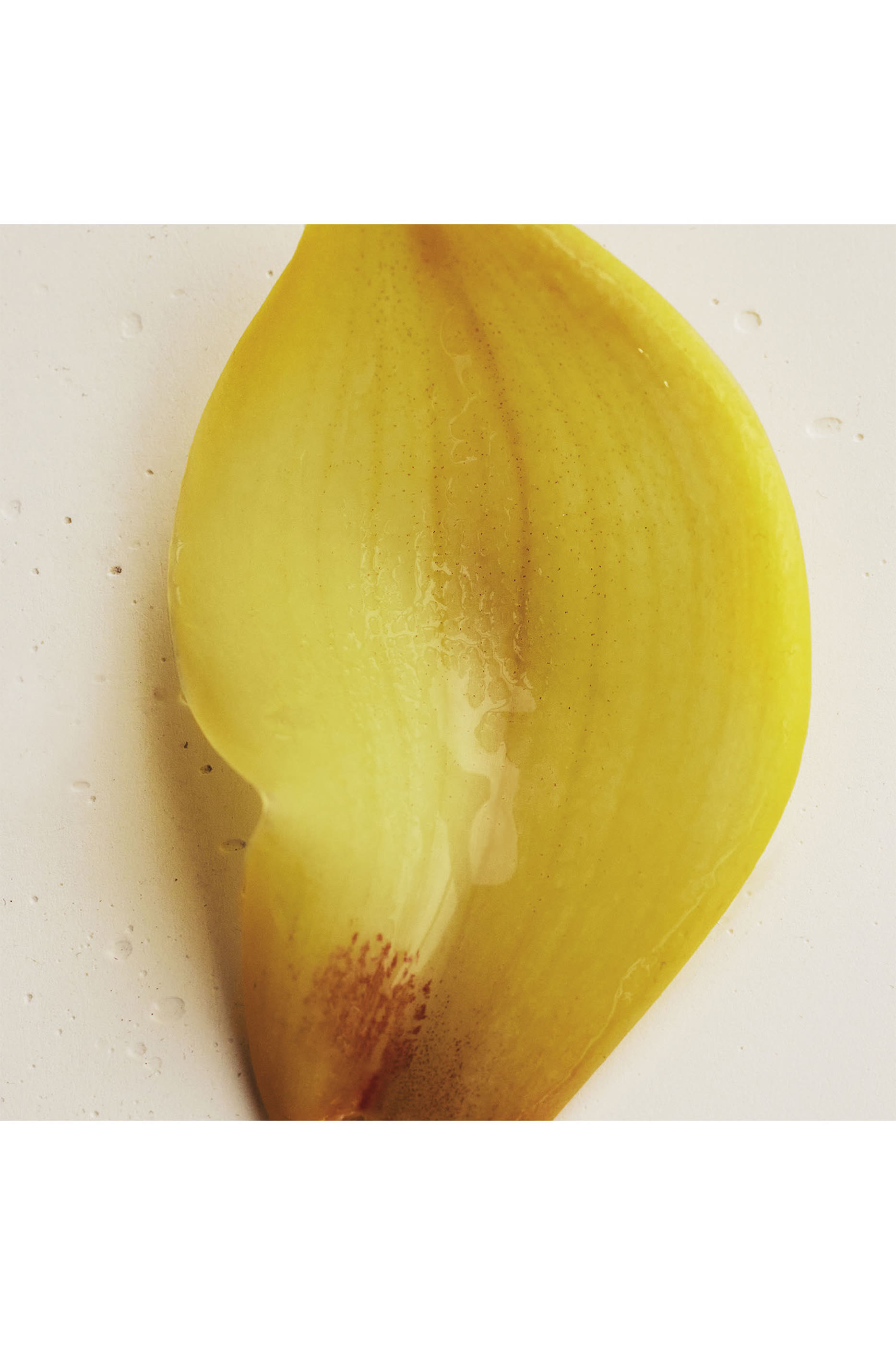 Atelier des Fleurs Narcissus Poeticus Eau de Parfum