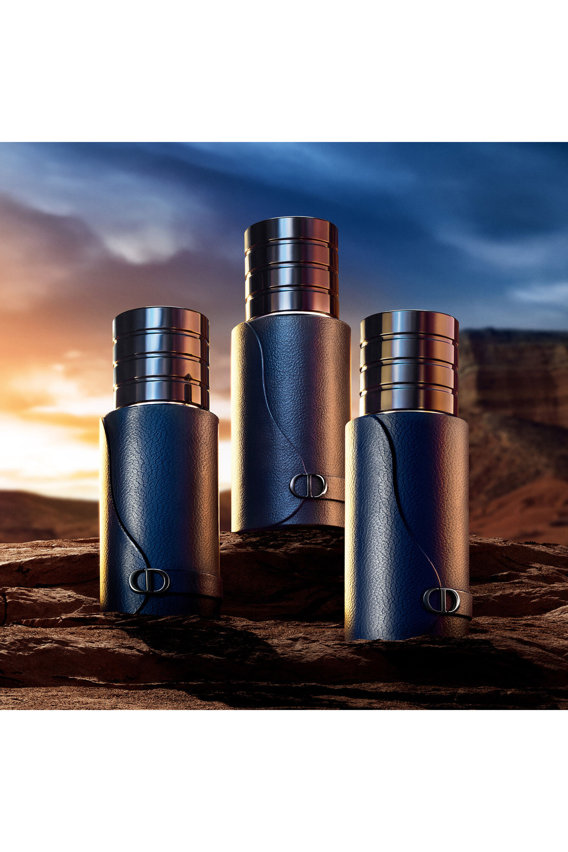 Sauvage Eau de Toilette