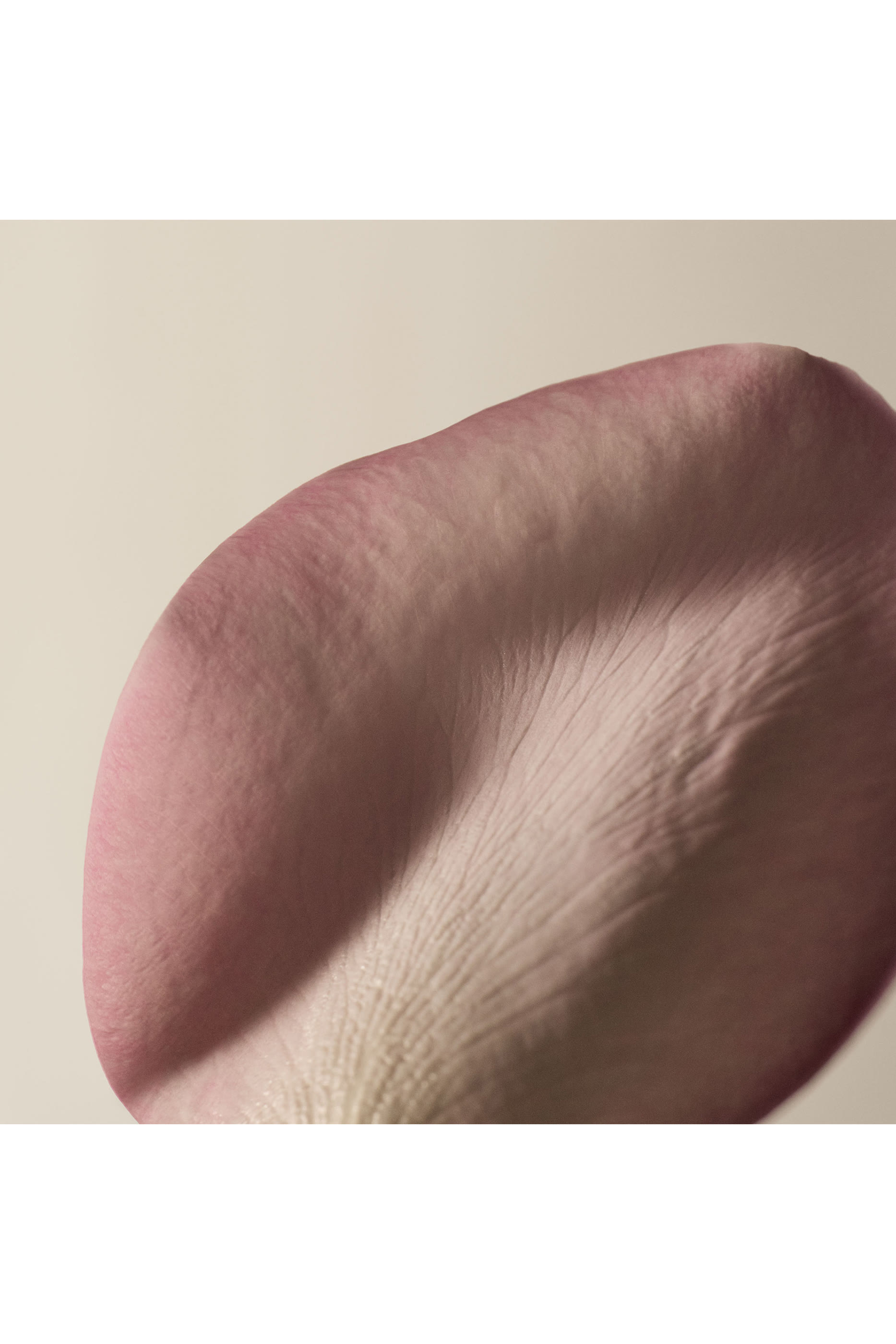 A Rose By Any Other Name Body Cleanser