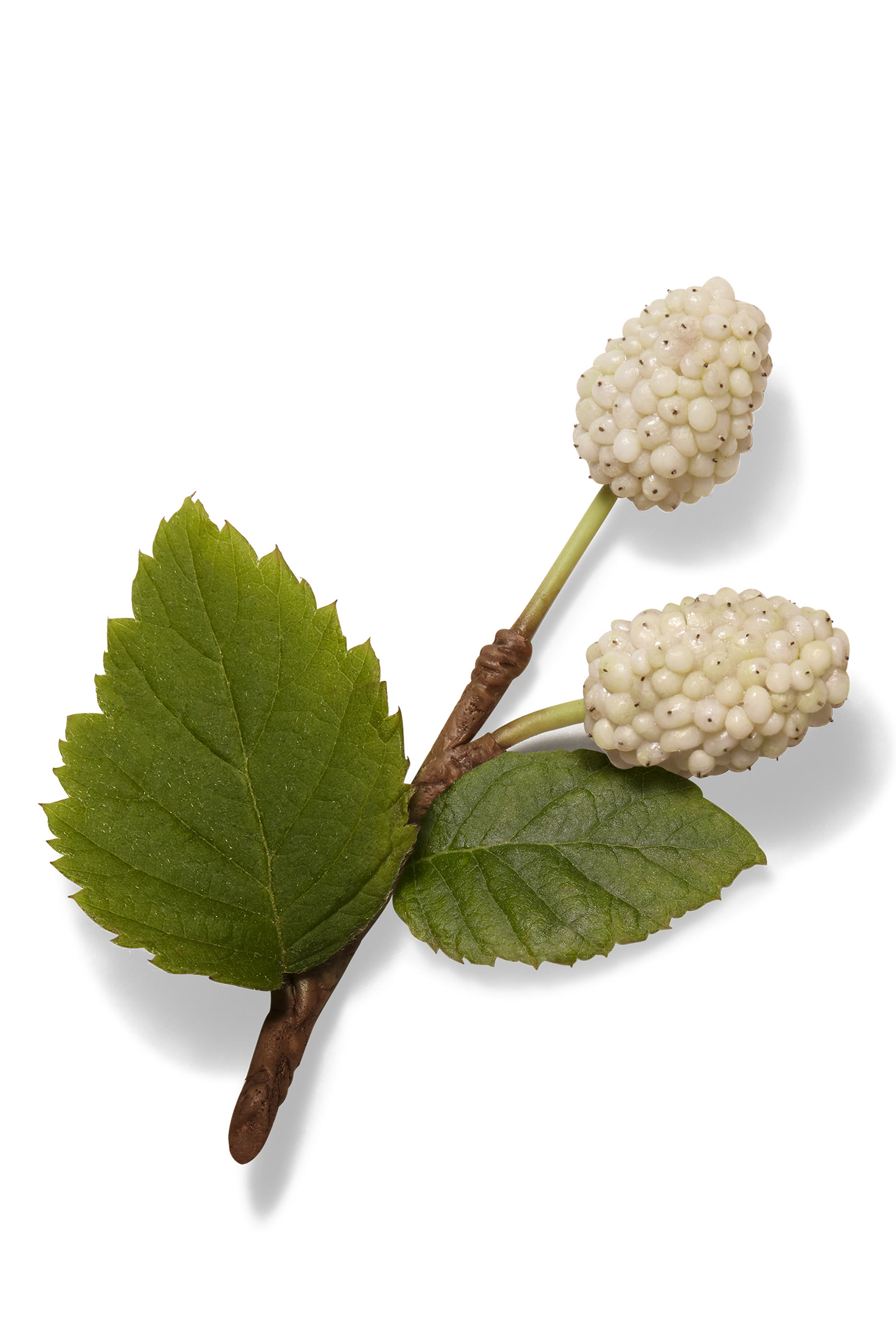 Herm&egrave;s Plein Air, Complexion Balm