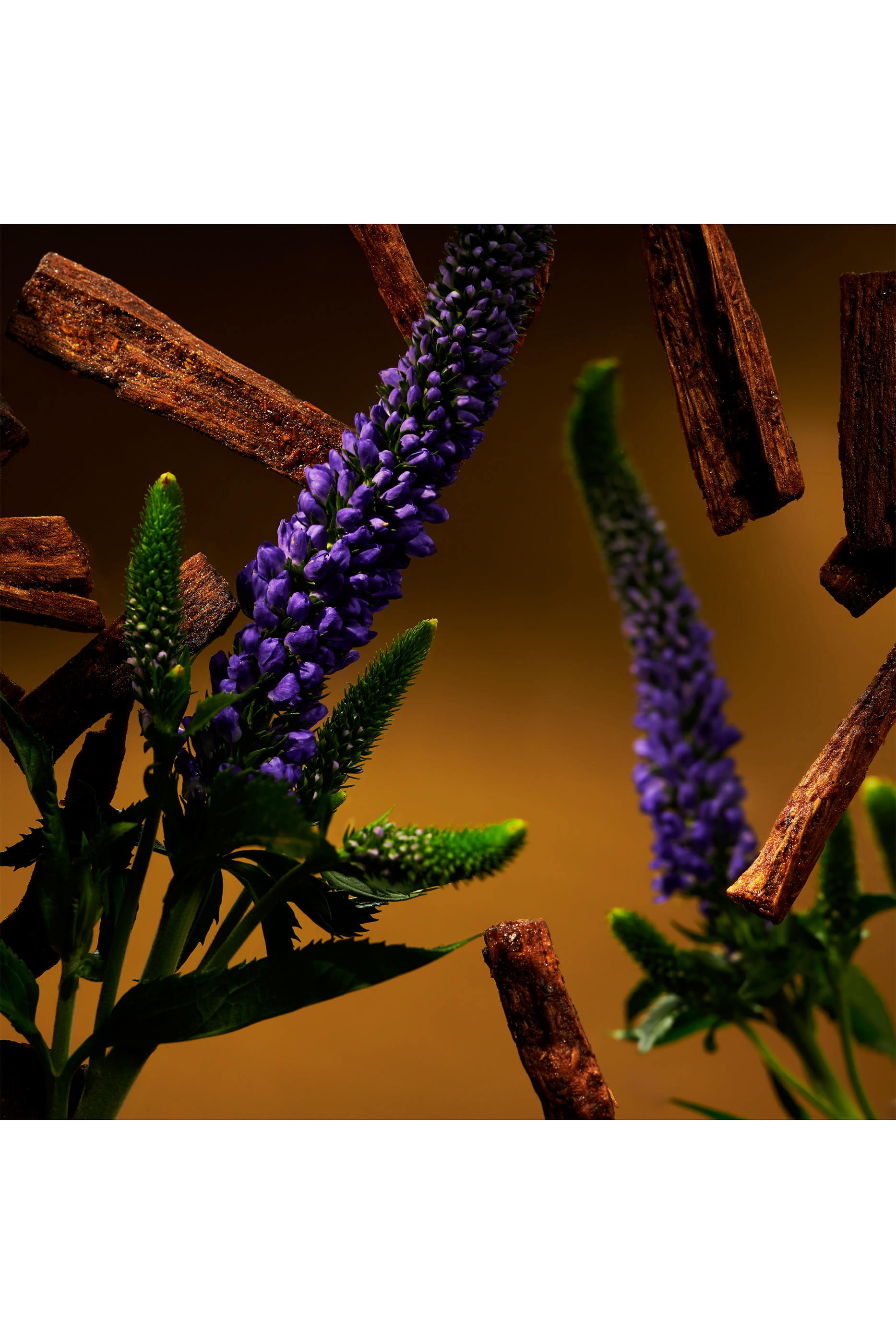 The Ritual of Oudh Gift Set L