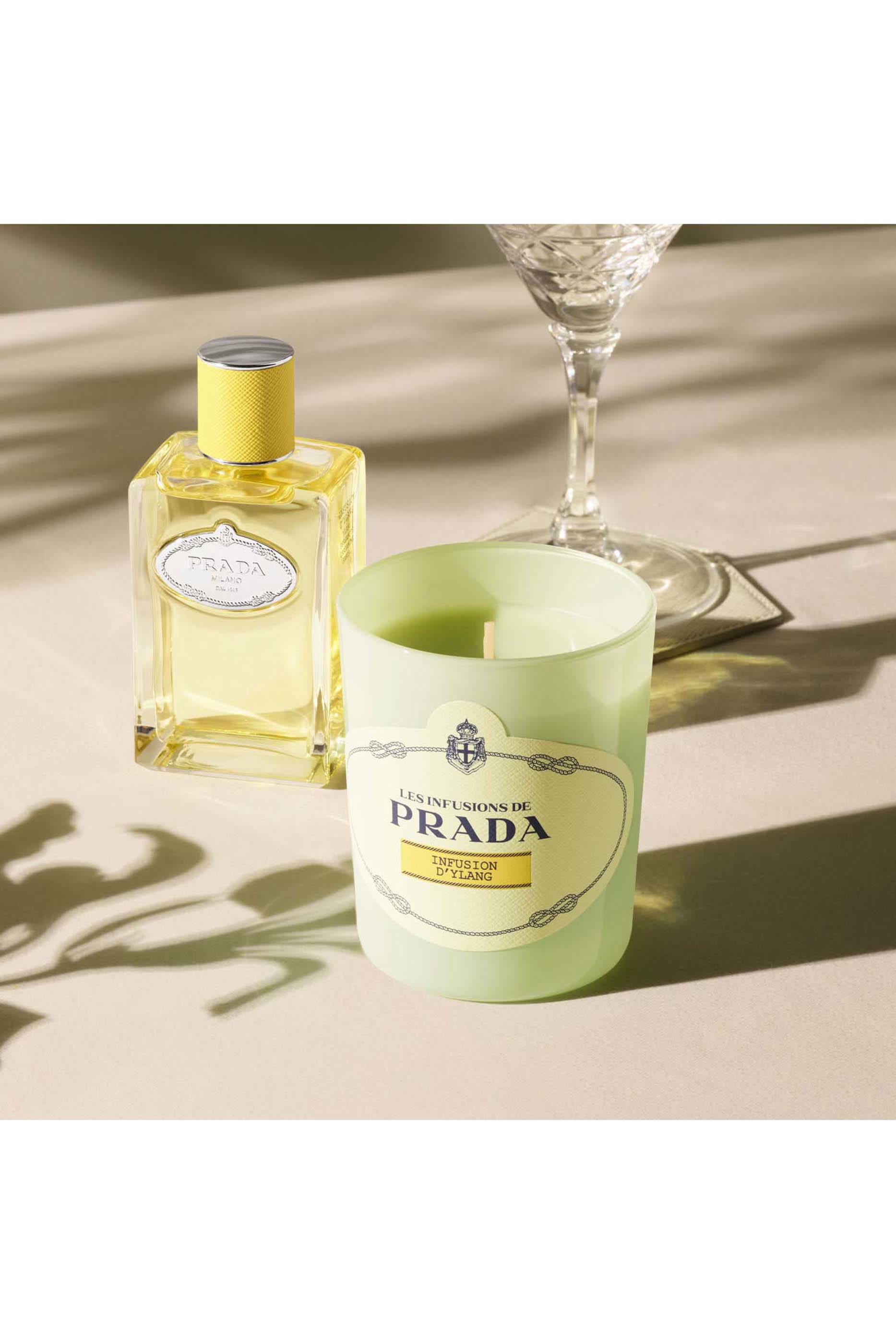 Les Infusion d’Ylang Candle