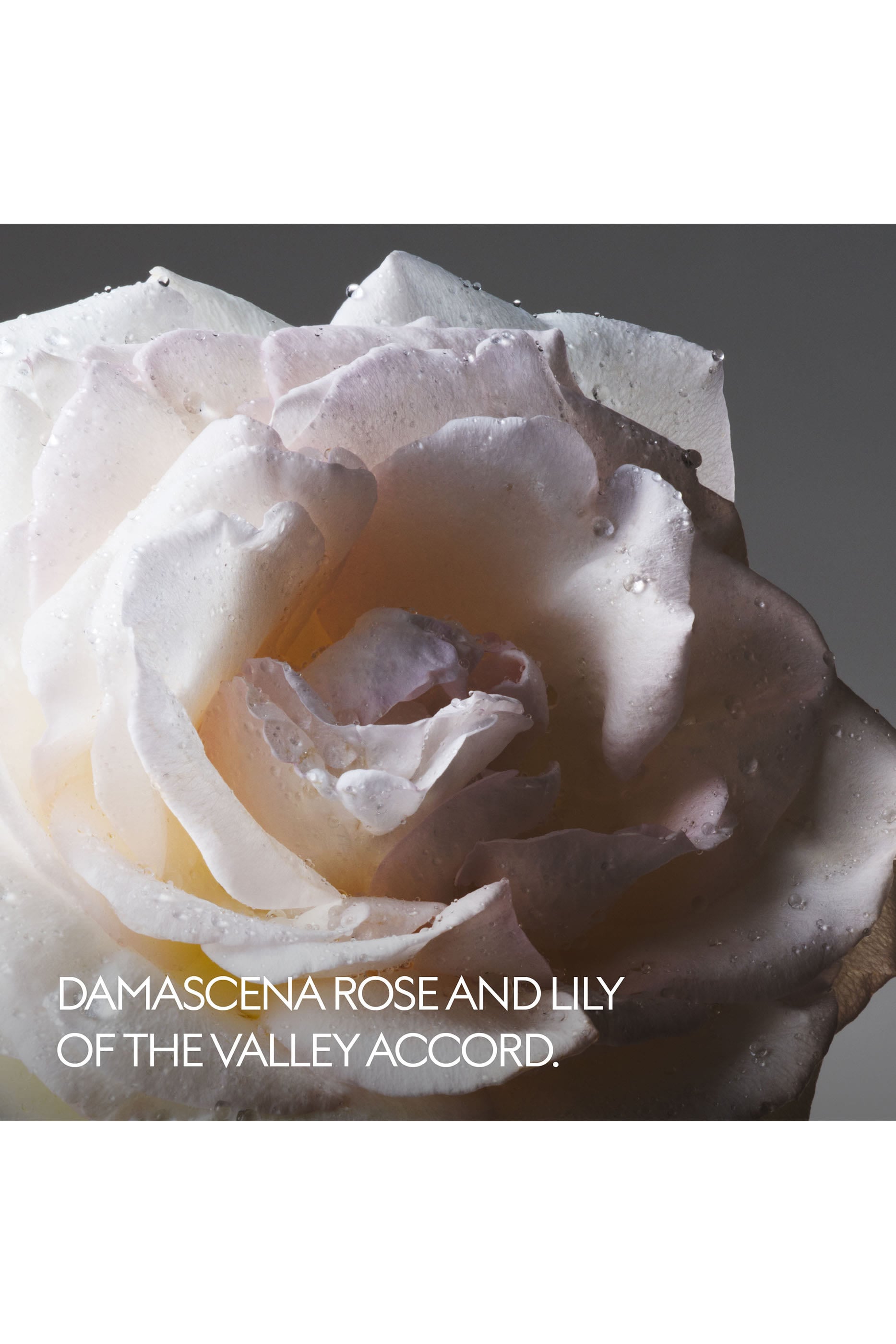The Alchemist's Garden Tears From the Moon Eau de Parfum