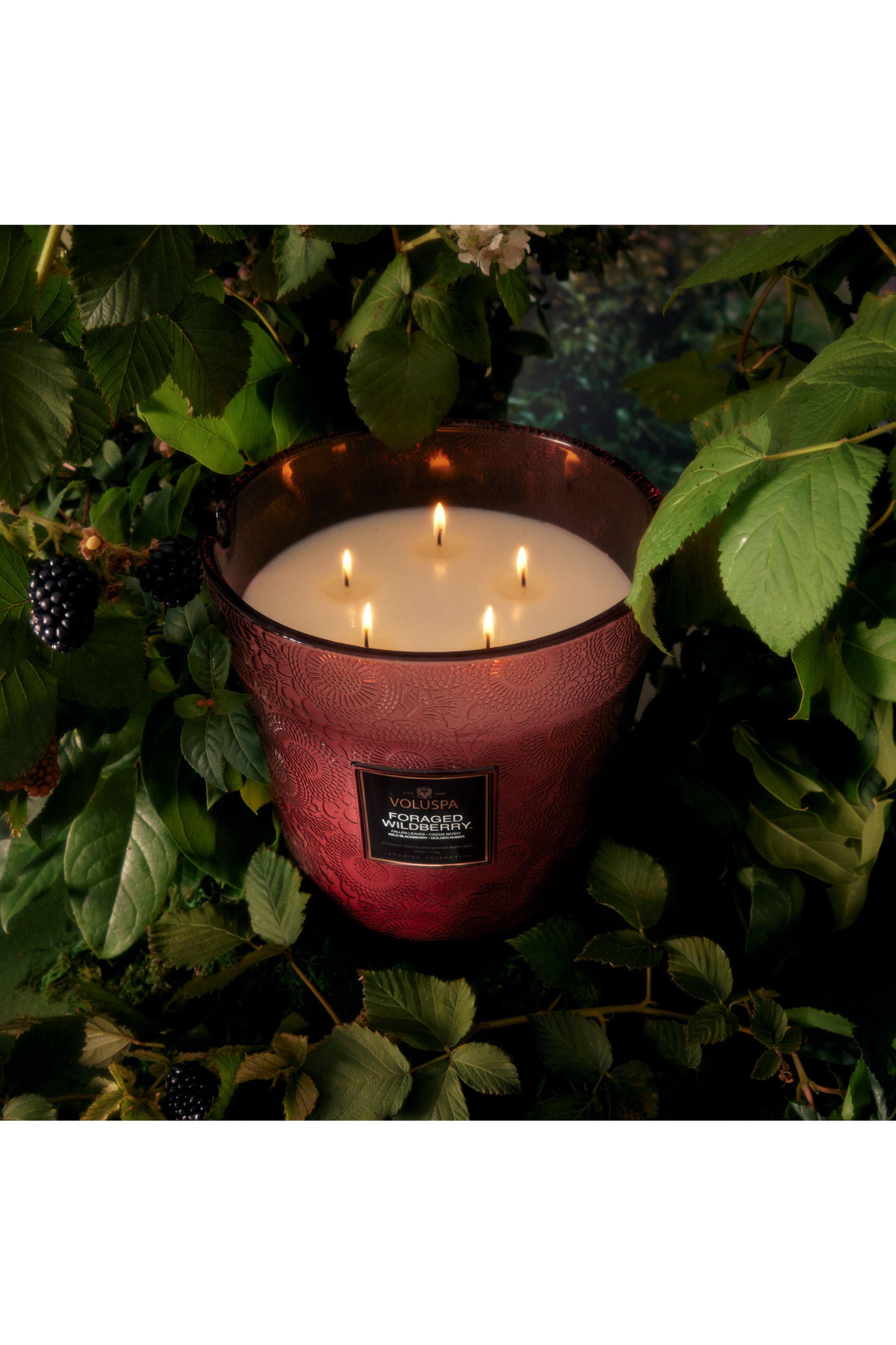 Foraged Wildberry 5 Wick Hearth Candle