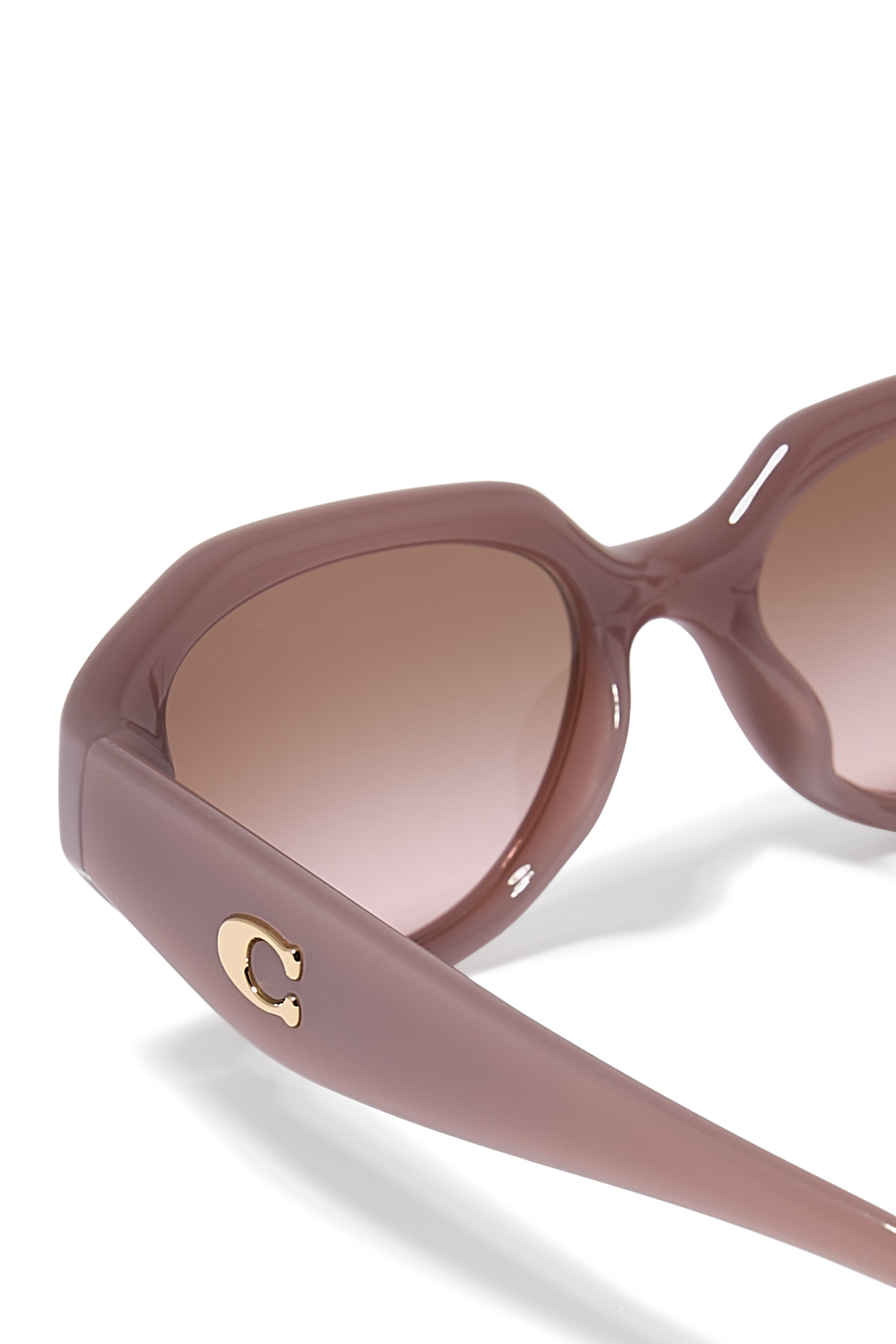 Irreg Frame Sculpted C Logo Temple Sunglasses