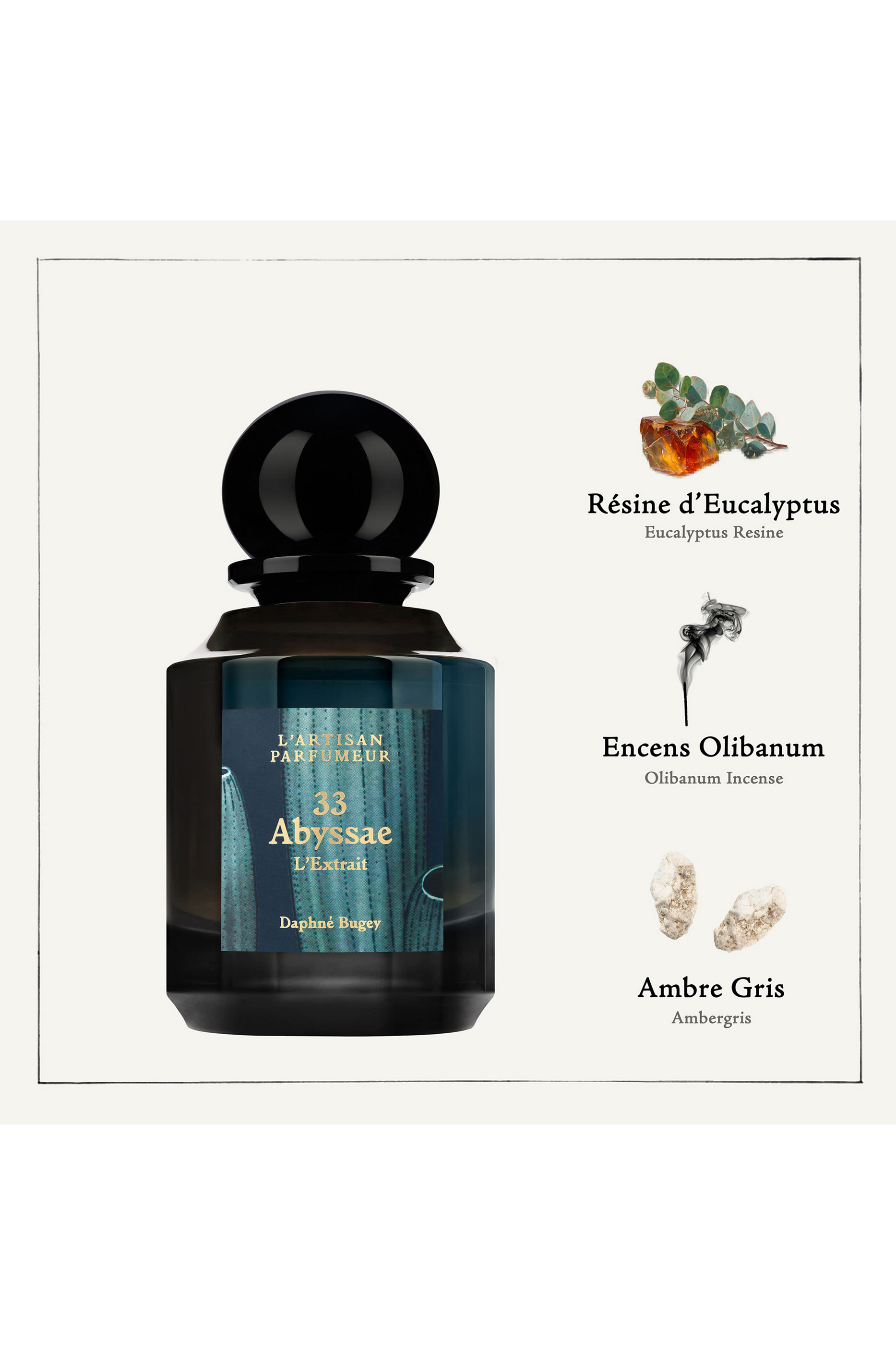 عطر مركز 33 أبيساي
