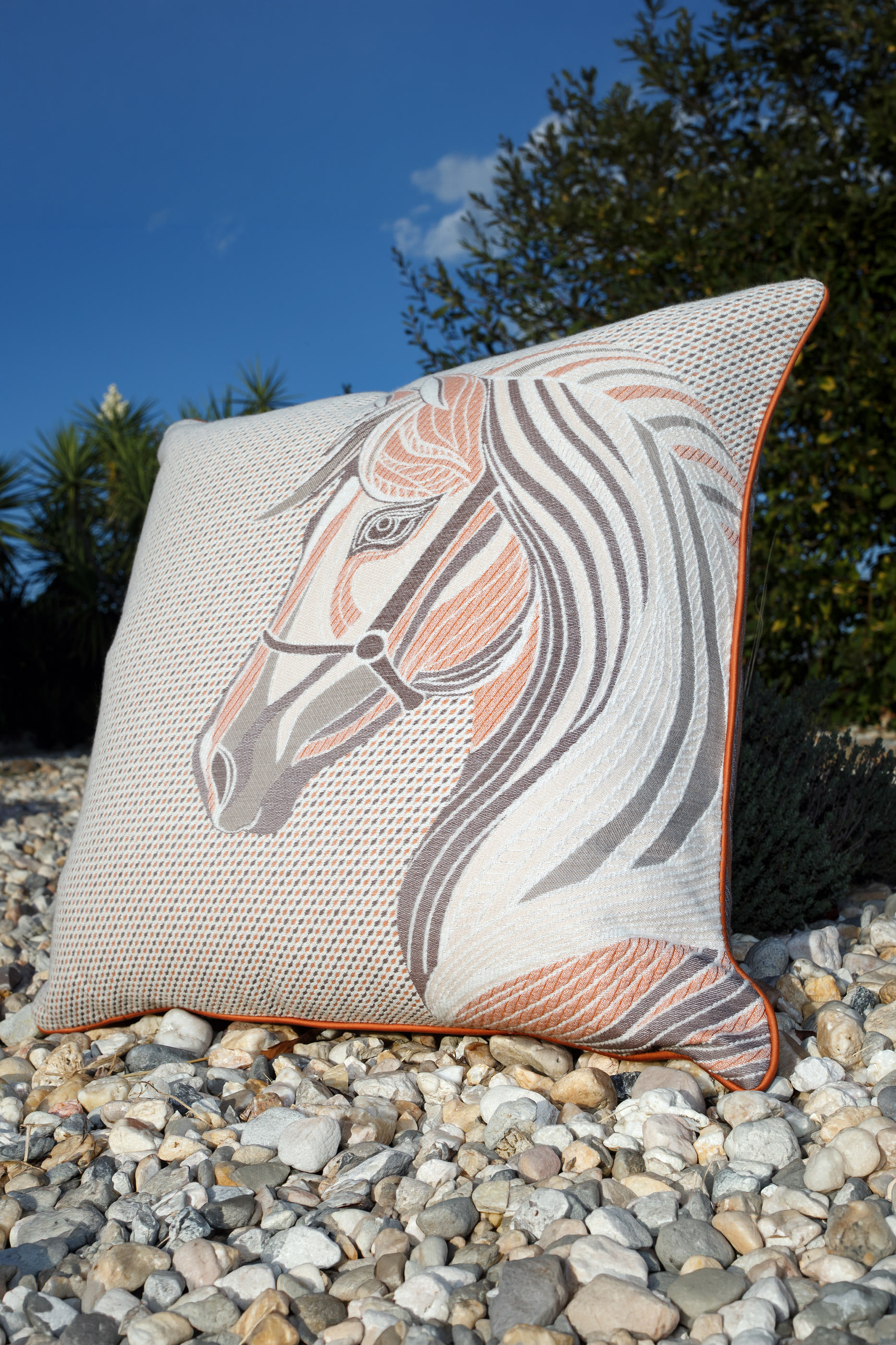 Alezan Cushion 