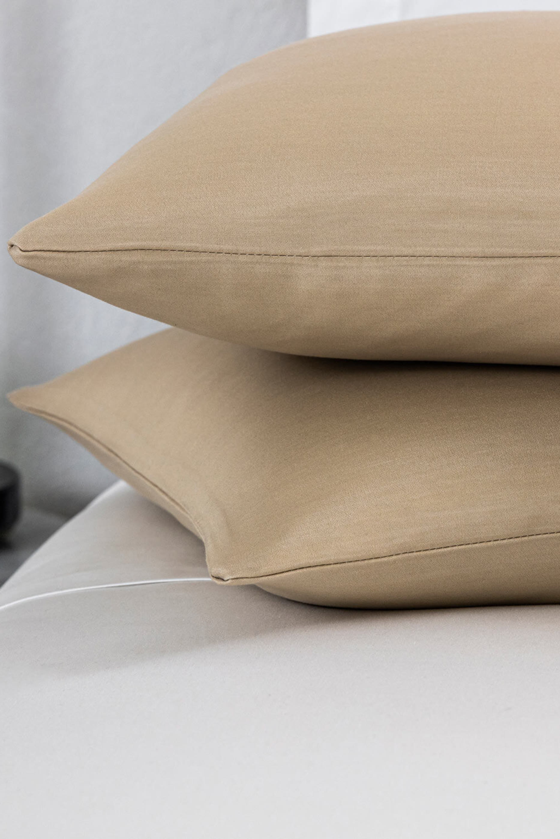 Luxury Passepartout Decorative Pillow