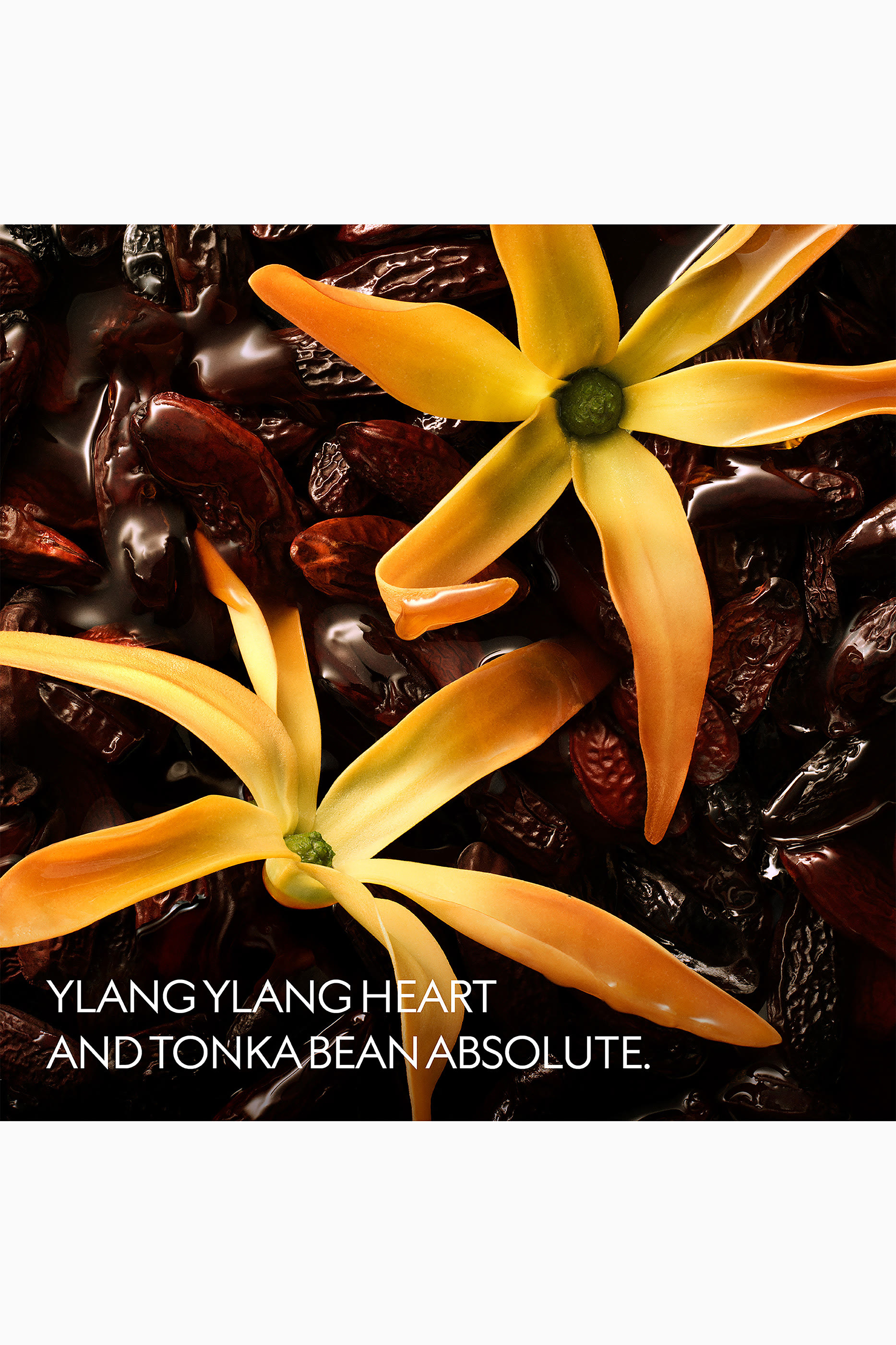 The Alchemist&rsquo;s Garden Ylang Ambrato Eau de Parfum