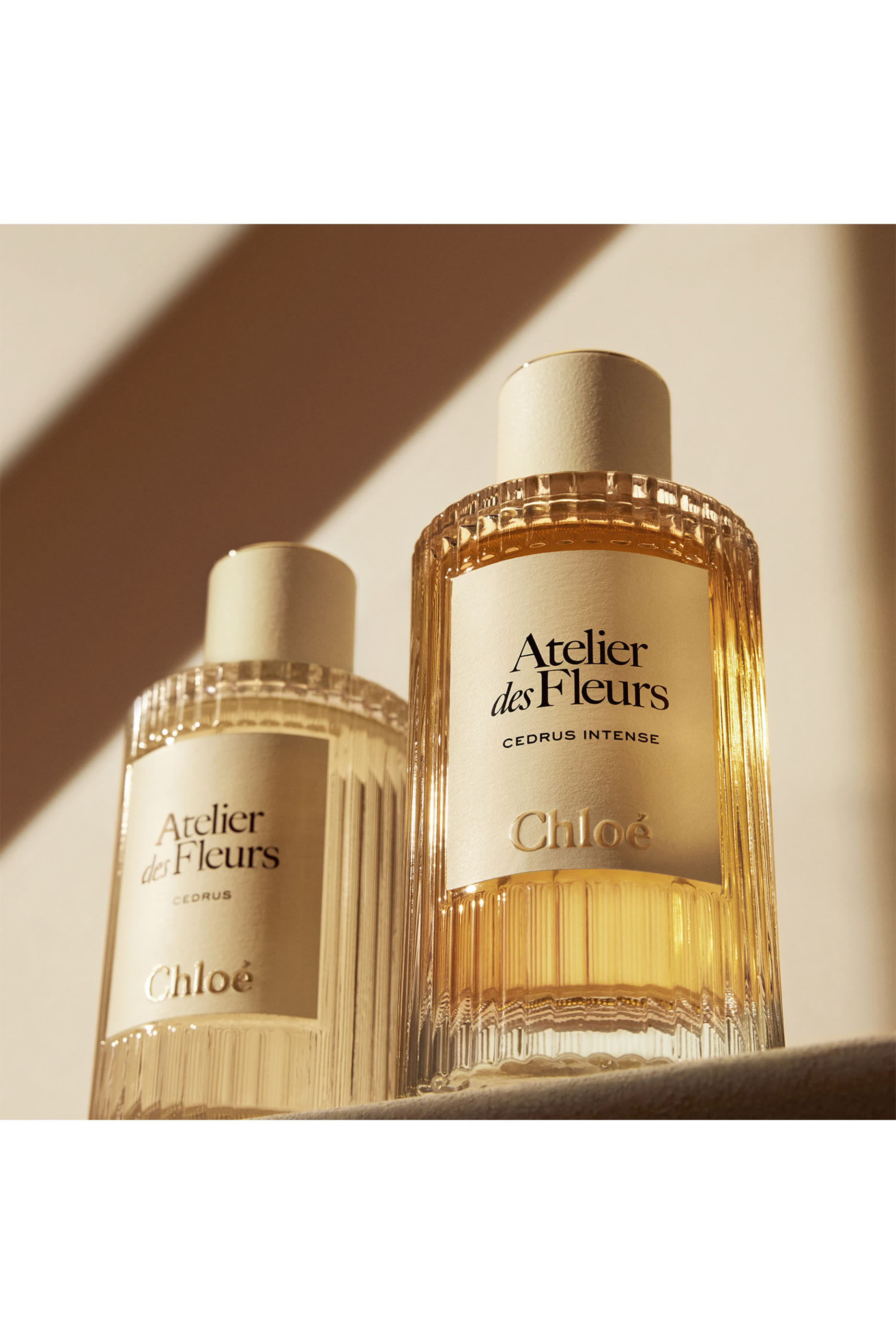 Atelier Des Fleurs Cedrus Eau De Parfum