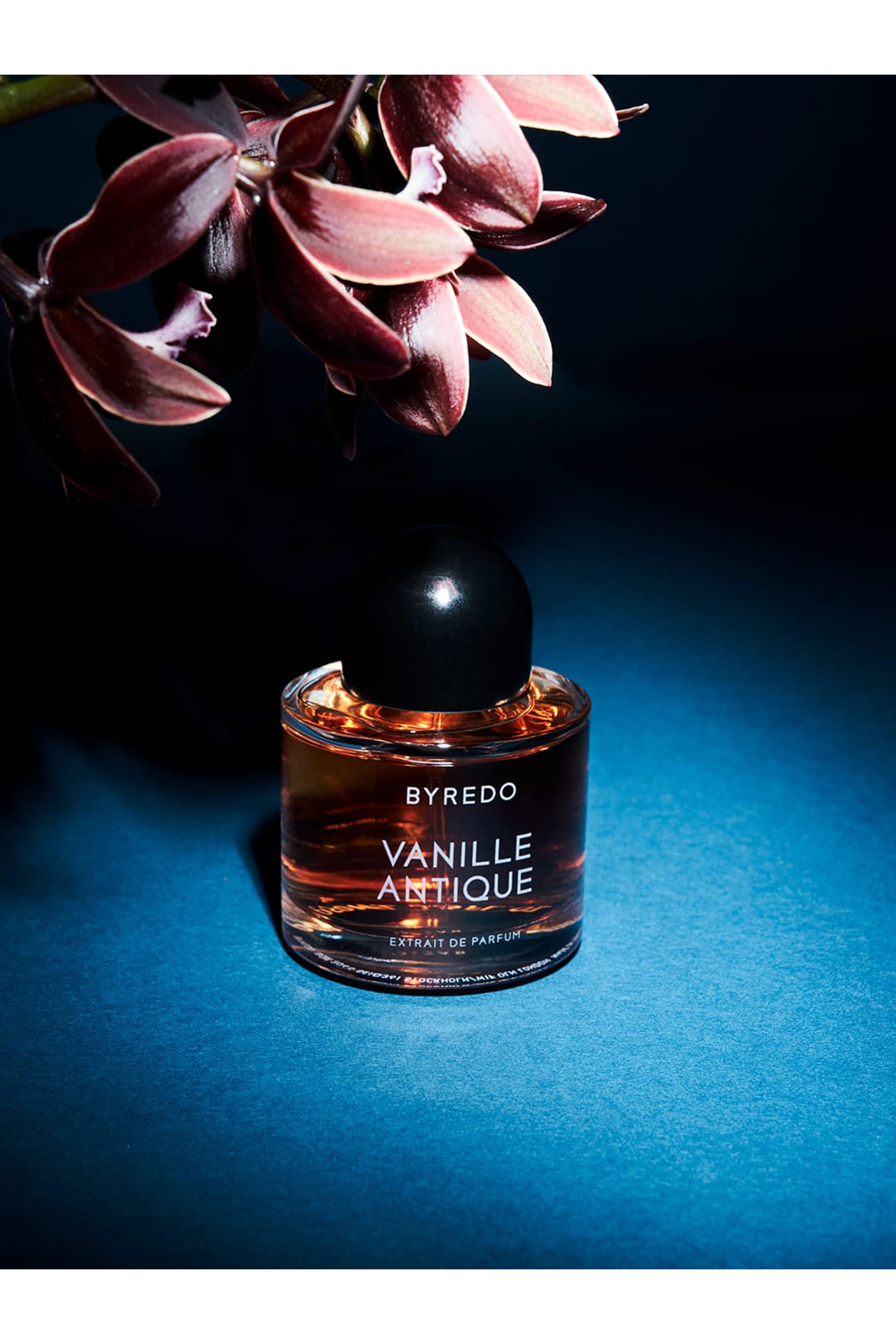 Vanille Antique Fragrance