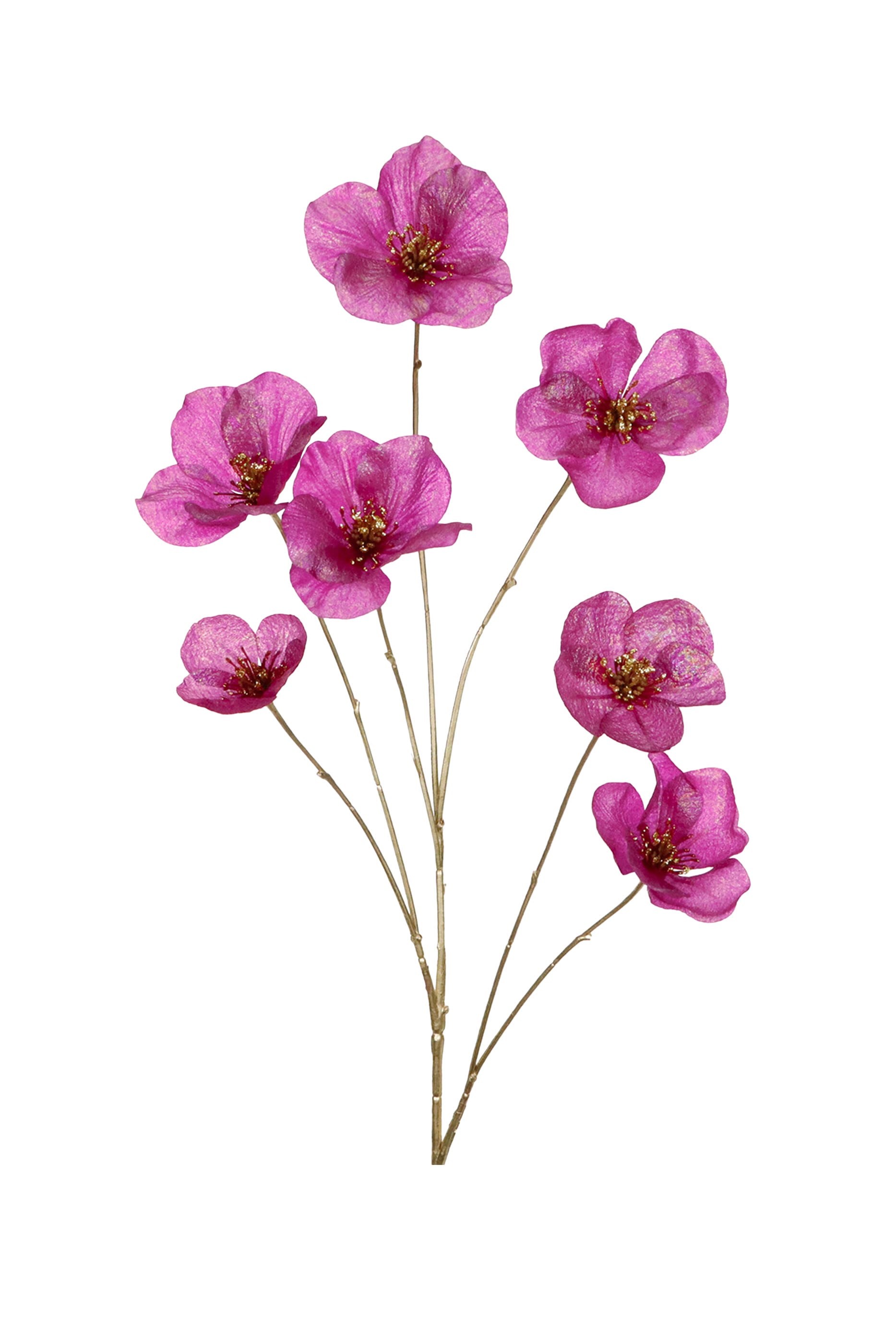 Eranthis Flower Stem