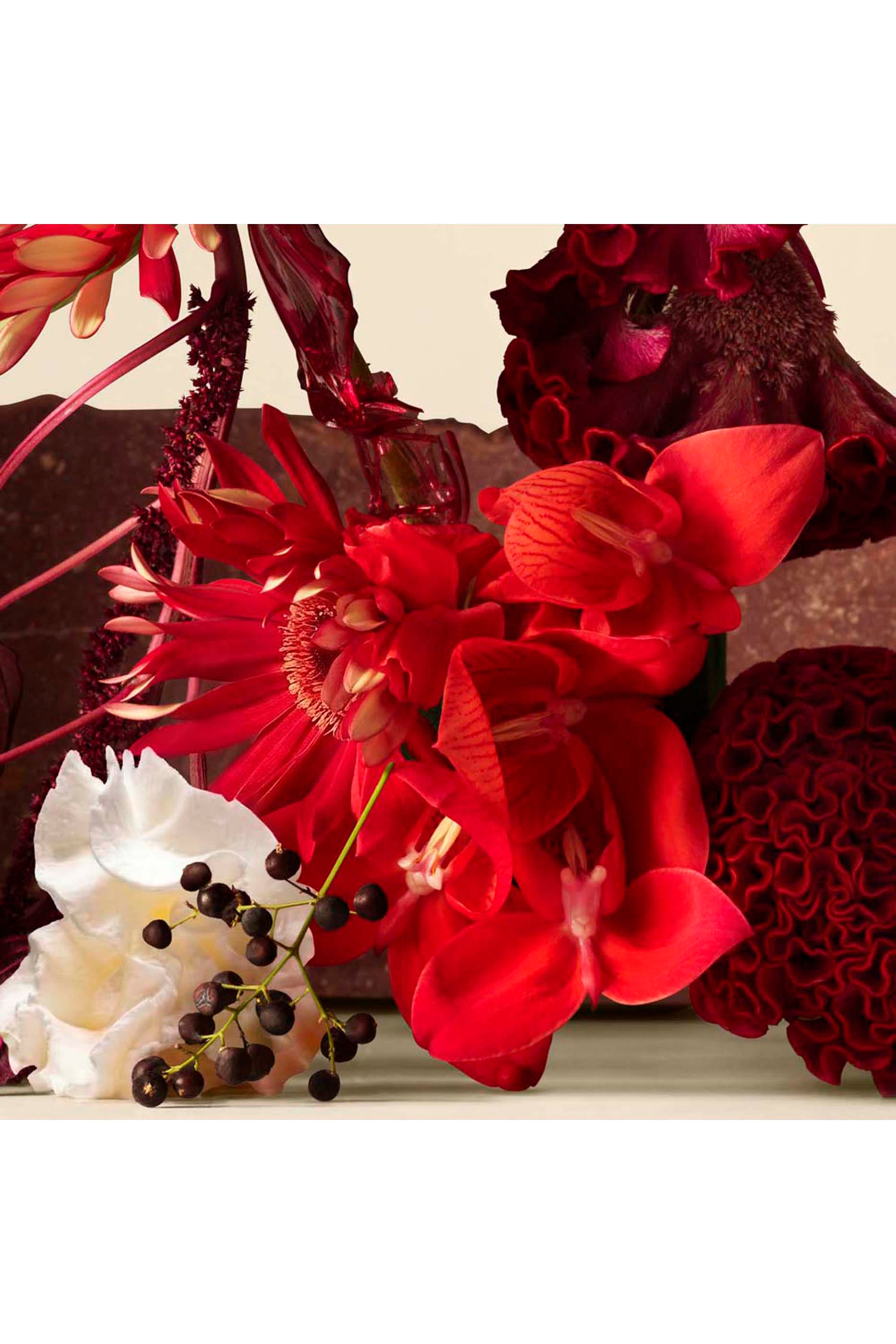 Anatomy of Dreams - Sogno In Rosso Parfum