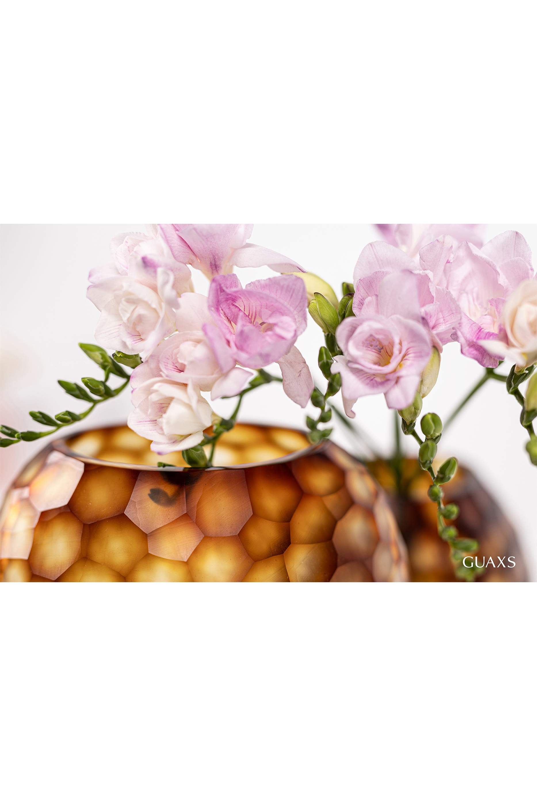 Nagaa Vase L