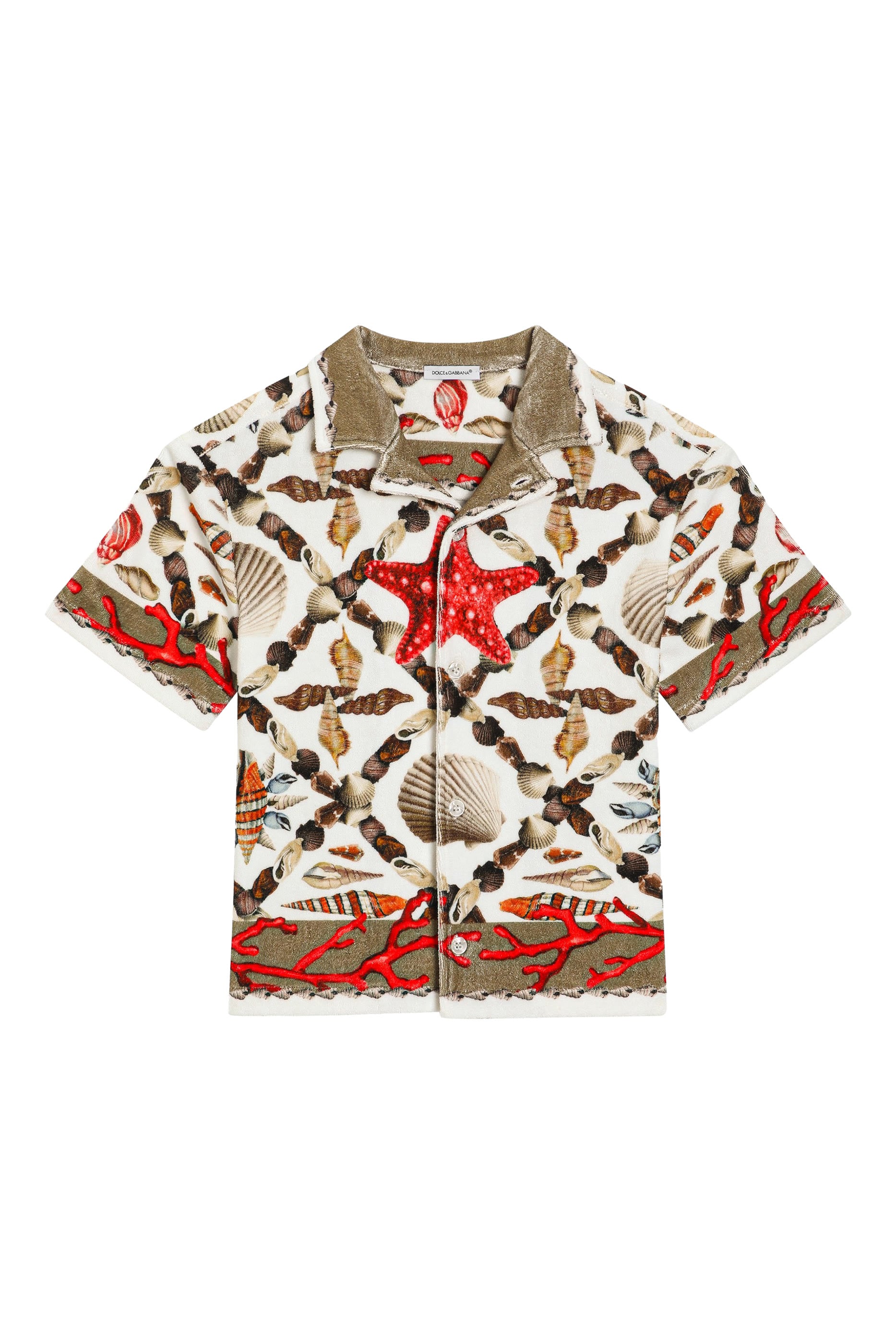 Kids Shell Print Cotton Terry Shirt