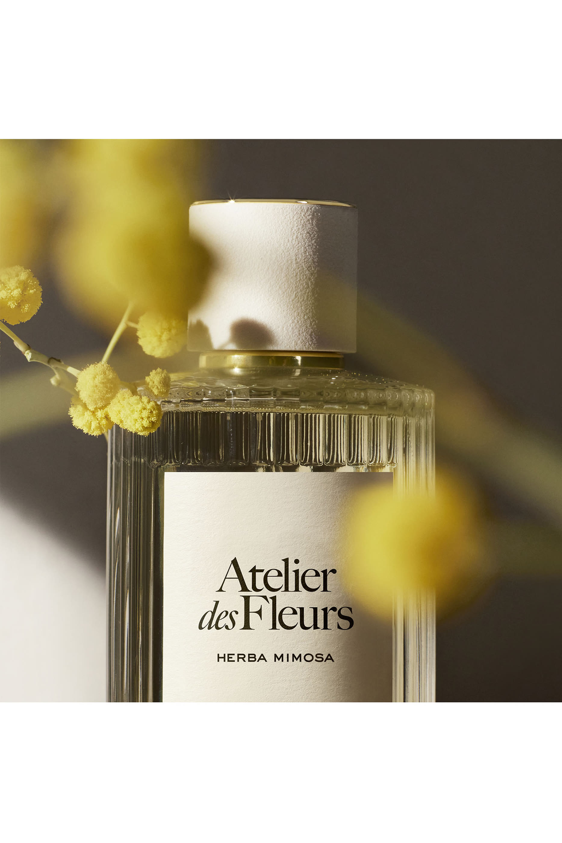 Atelier des Fleurs Herba Mimosa Eau de Parfum