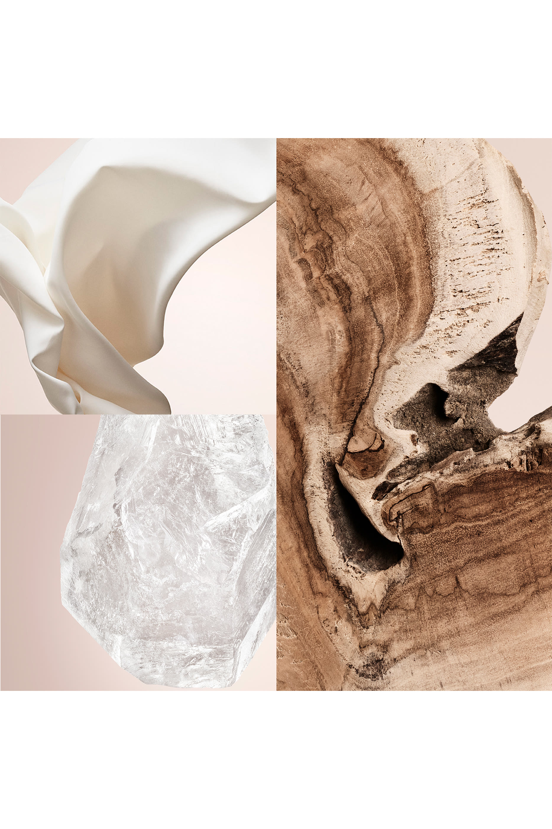 Cedar Chic Eau de Parfum