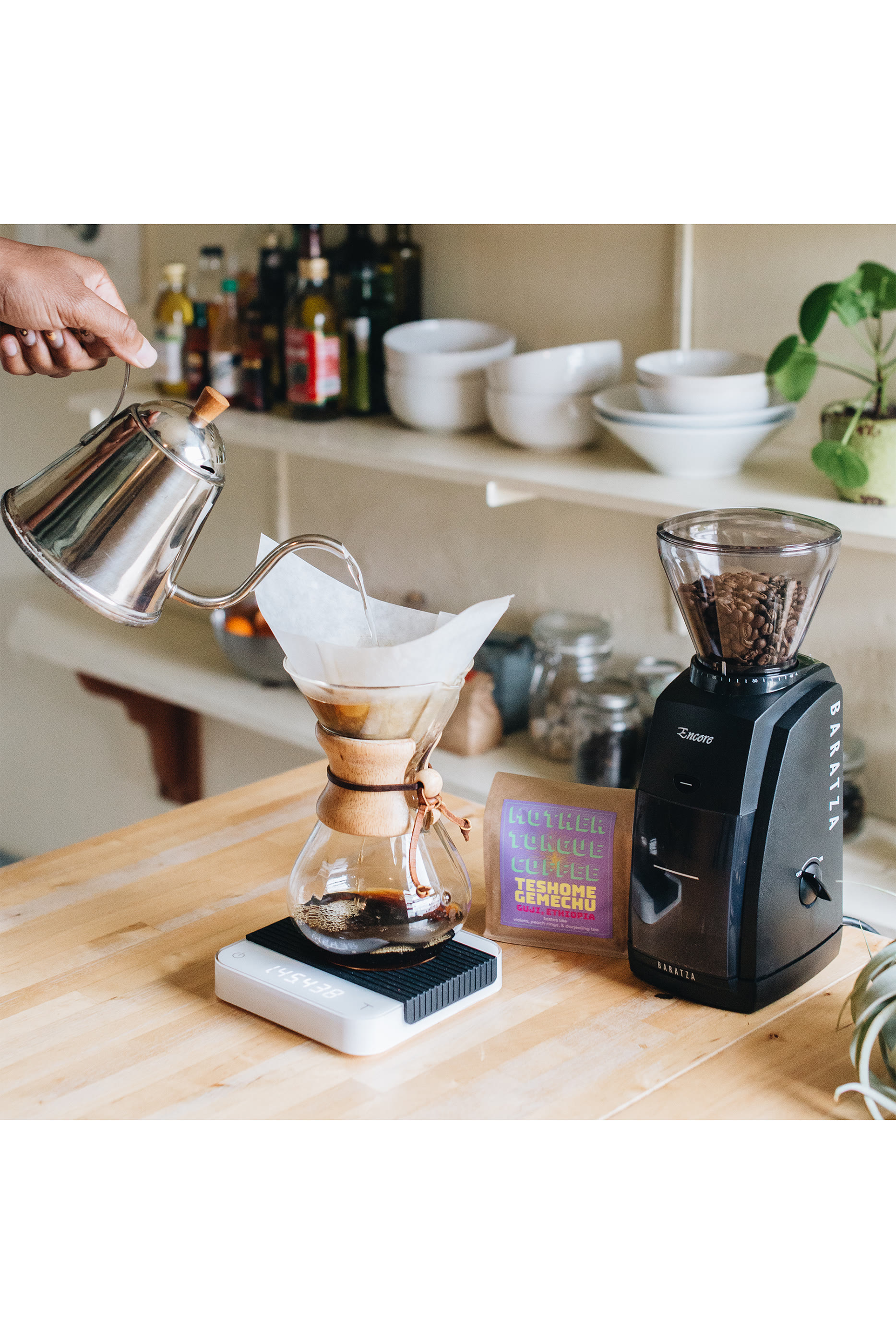 Encore 230V Coffee Grinder 