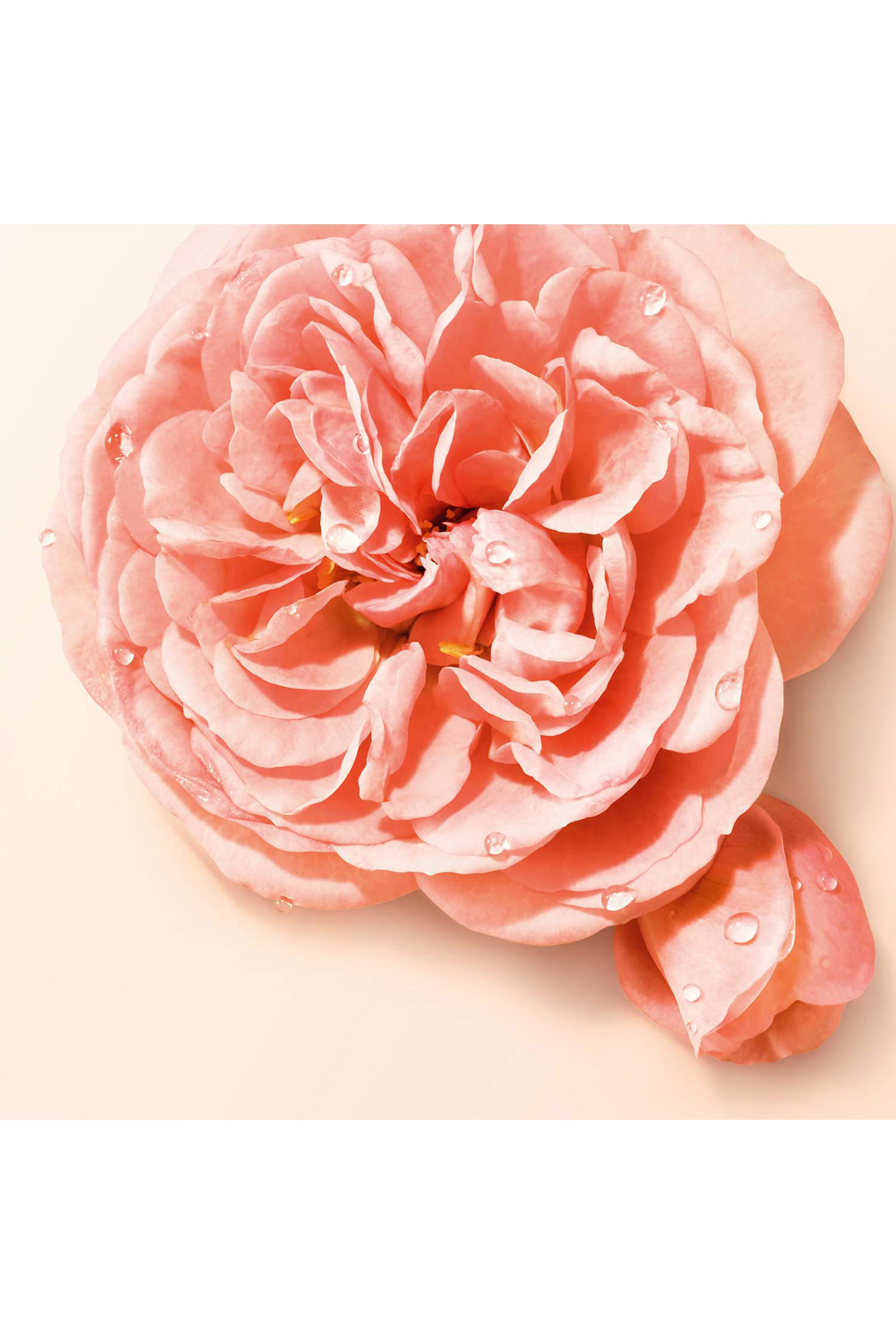 Sì Nude Bloom Eau de Parfum