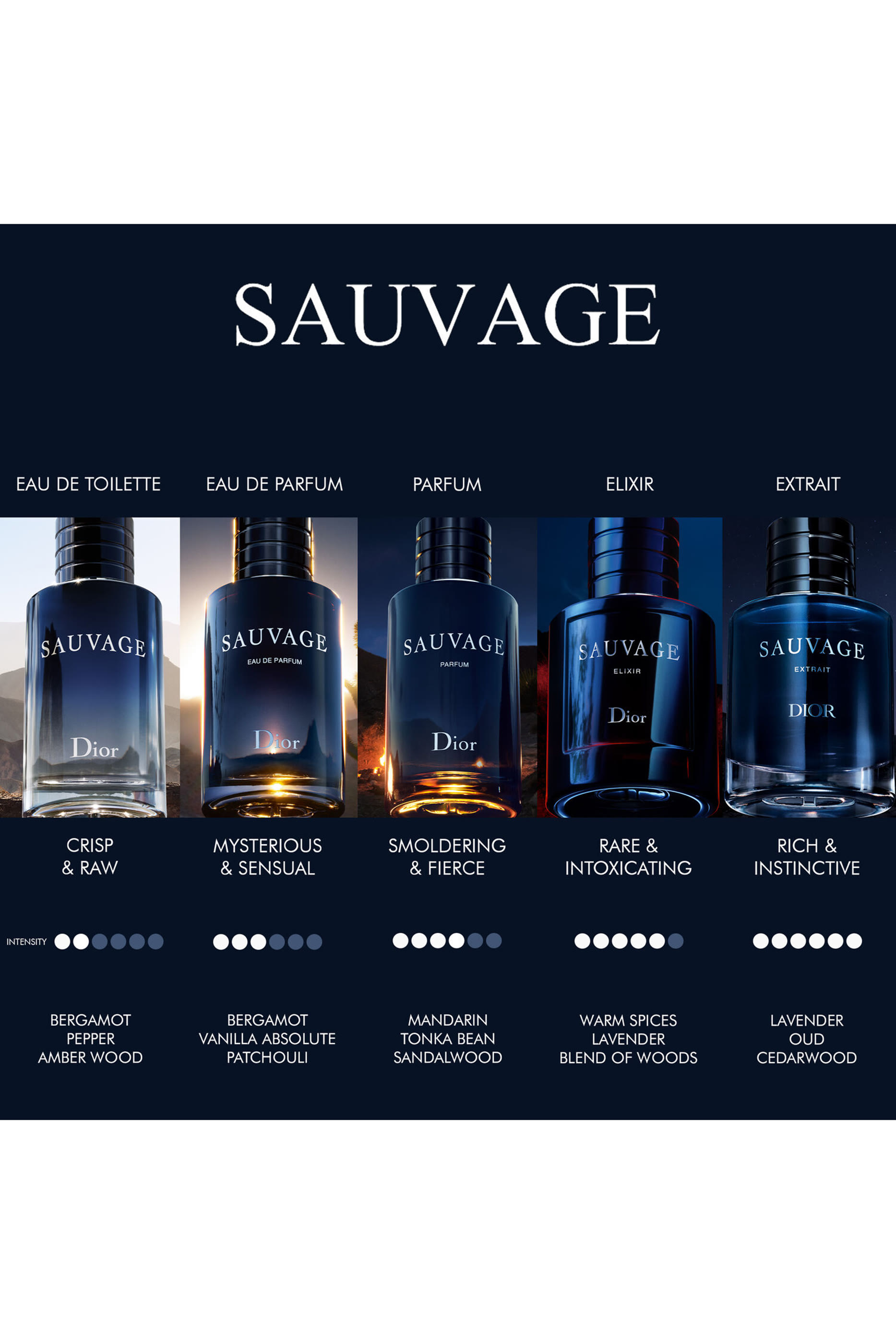 Sauvage Elixir Spray