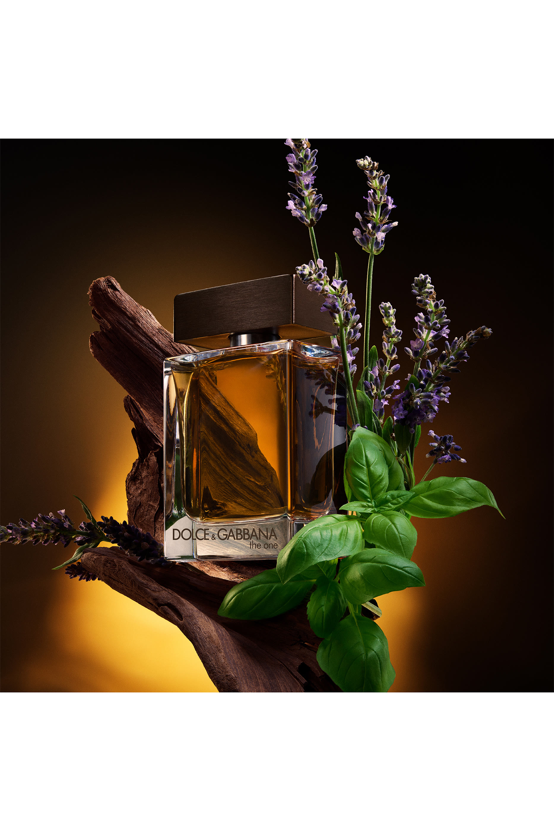 The One Pour Homme Eau de Toilette