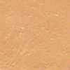 Cool Beige