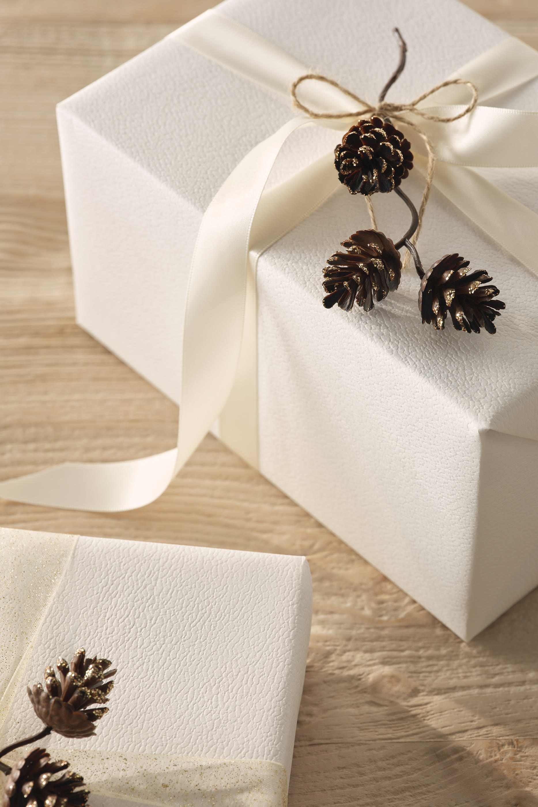 Frosted Pine Cone Toppers - Set of 6