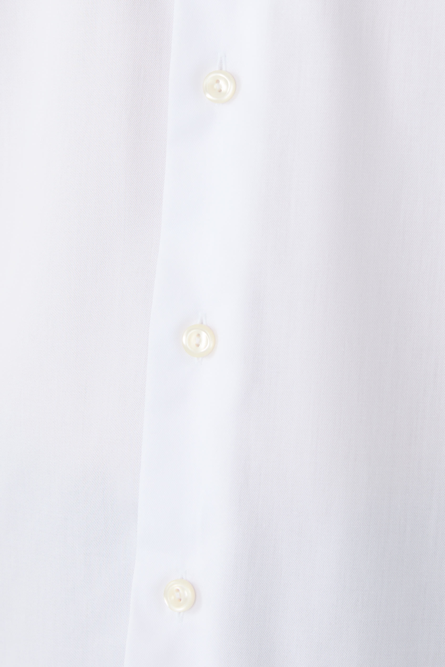 Floral Effect Signature Twill Shirt