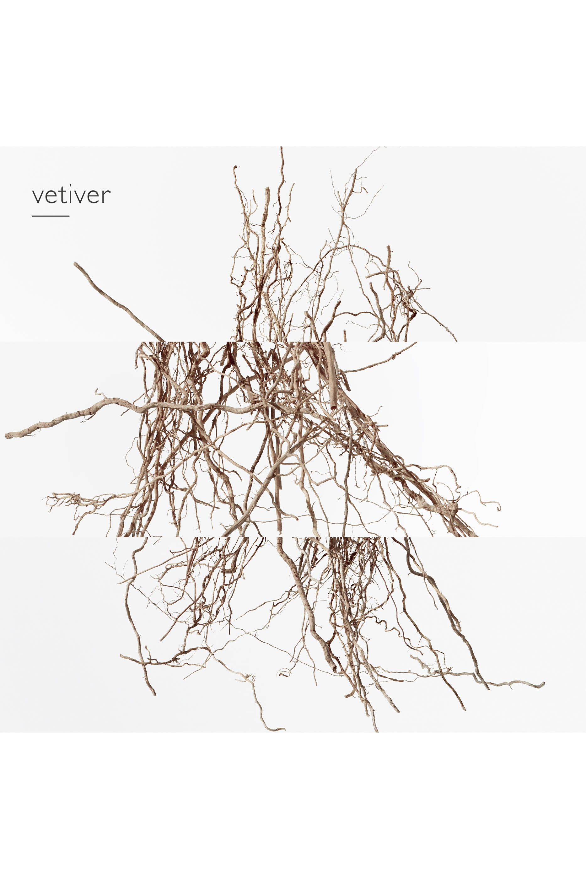 Terre d'Herm&egrave;s Eau Intense V&eacute;tiver, Eau de parfum