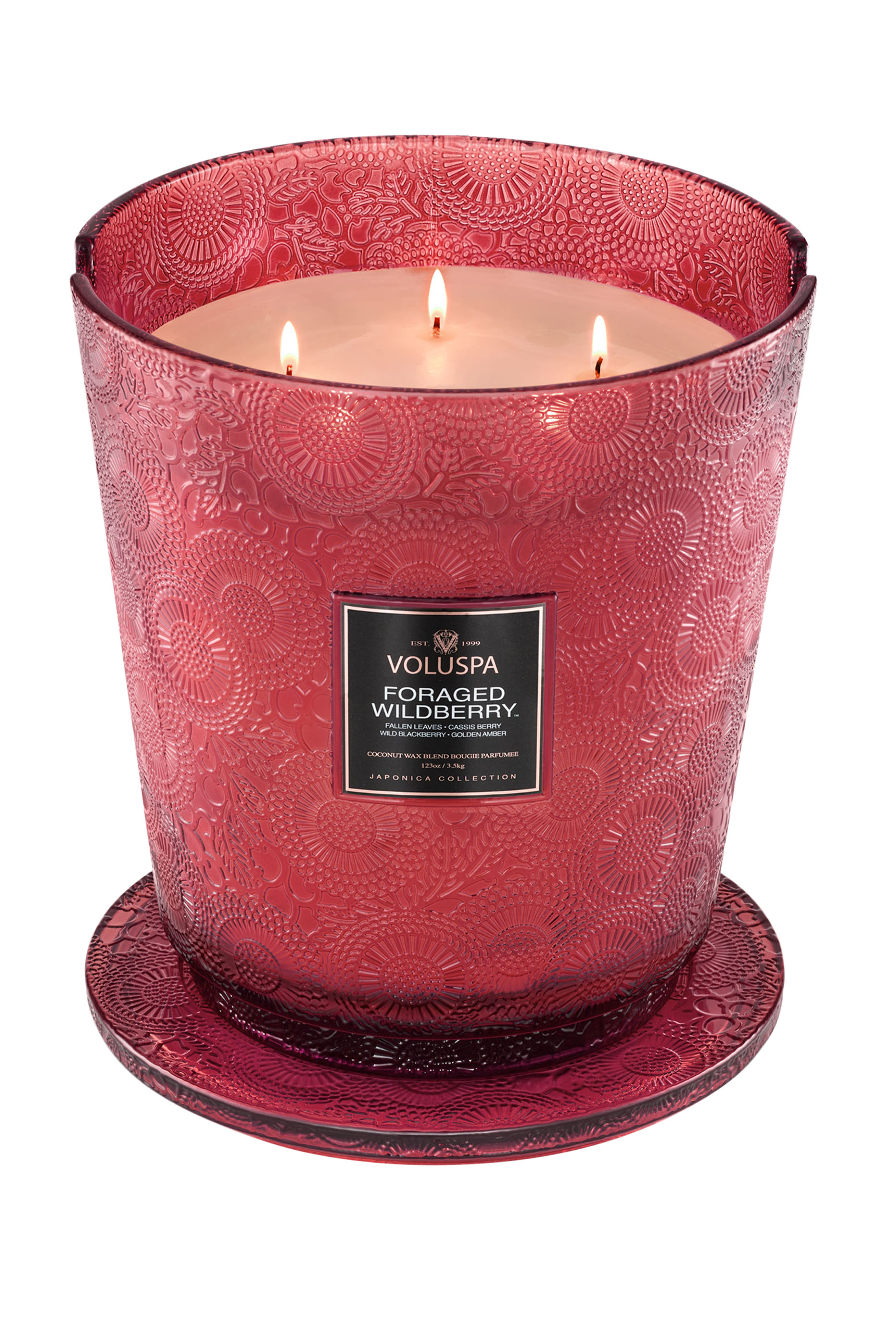 Foraged Wildberry 5 Wick Hearth Candle