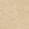Cool Ivory