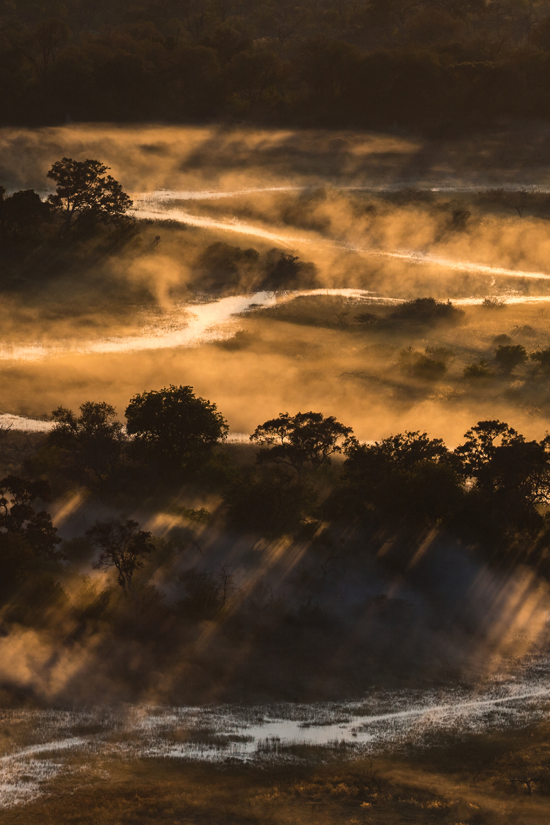 Aqua Allegoria Forte Bosca Vanilla Eau de Parfum