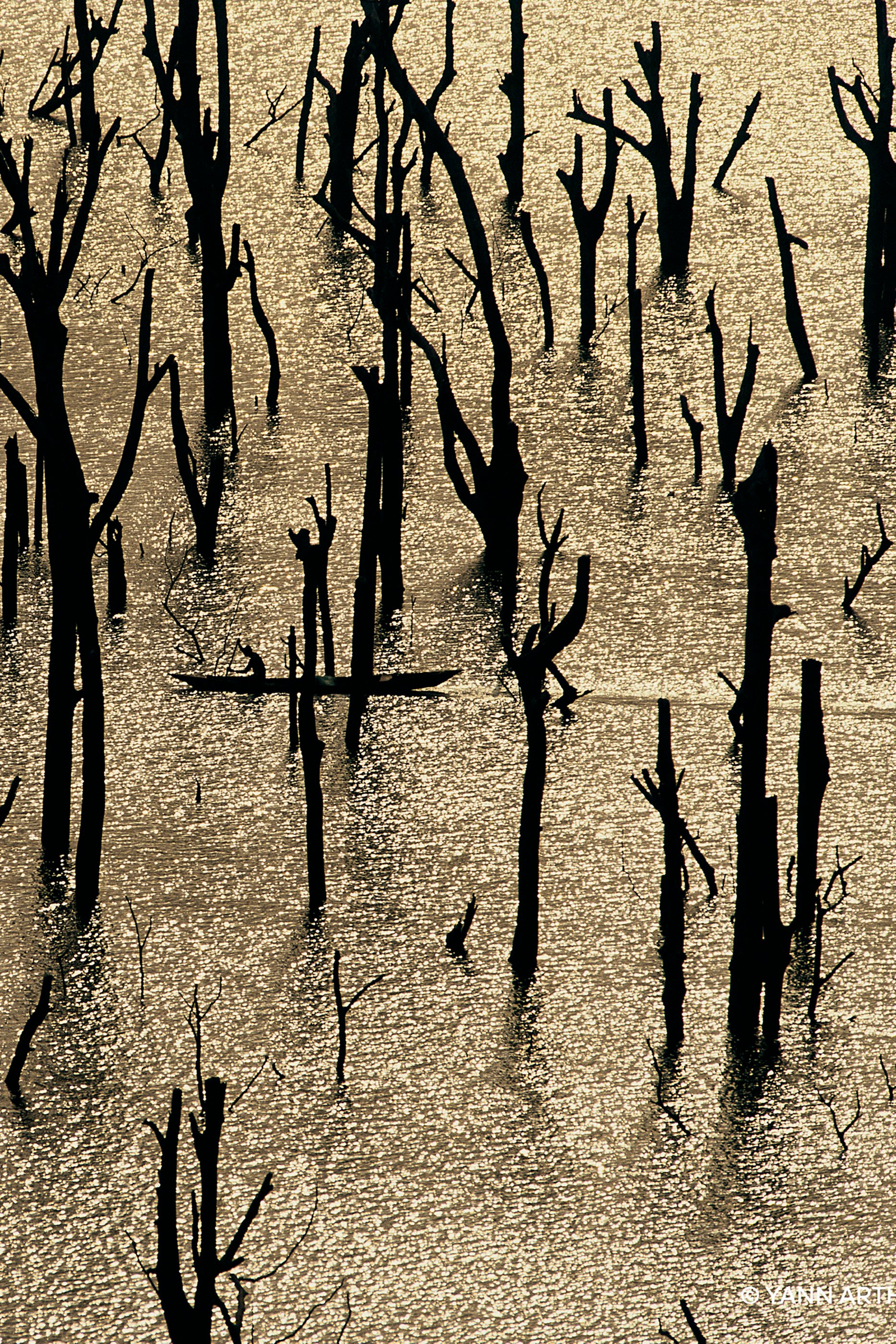 Rosa Rossa Forte Eau de Parfum