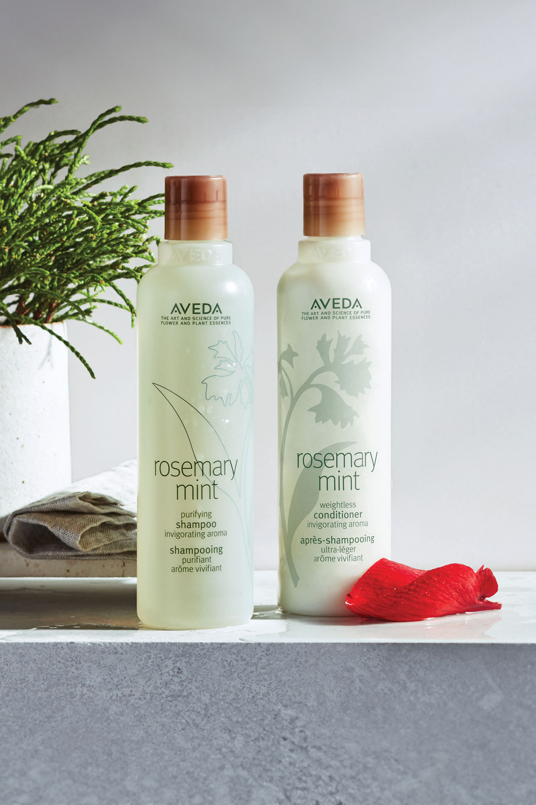 Rosemary Mint Purifying Shampoo