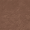 Cool walnut