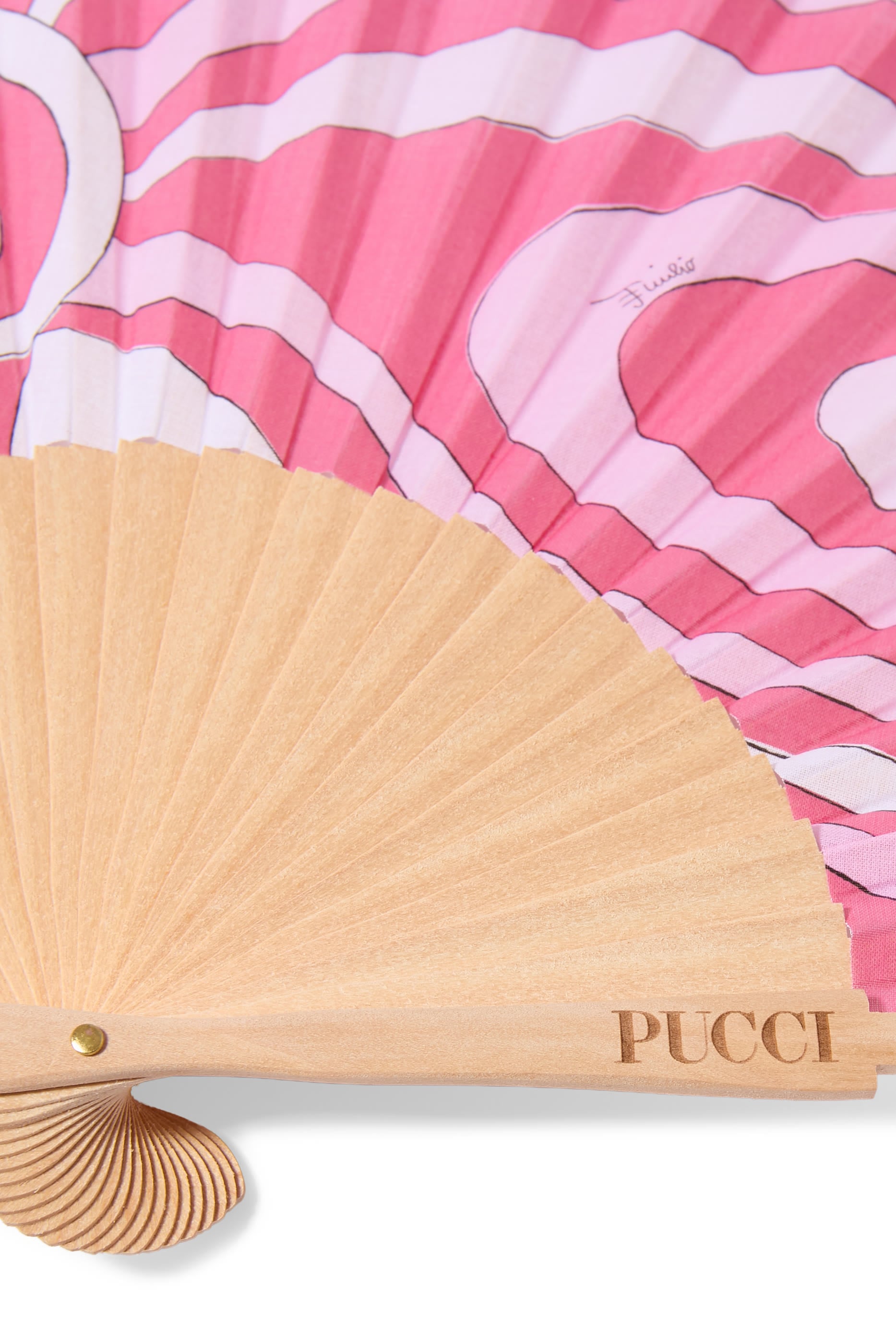 Printed Fan 