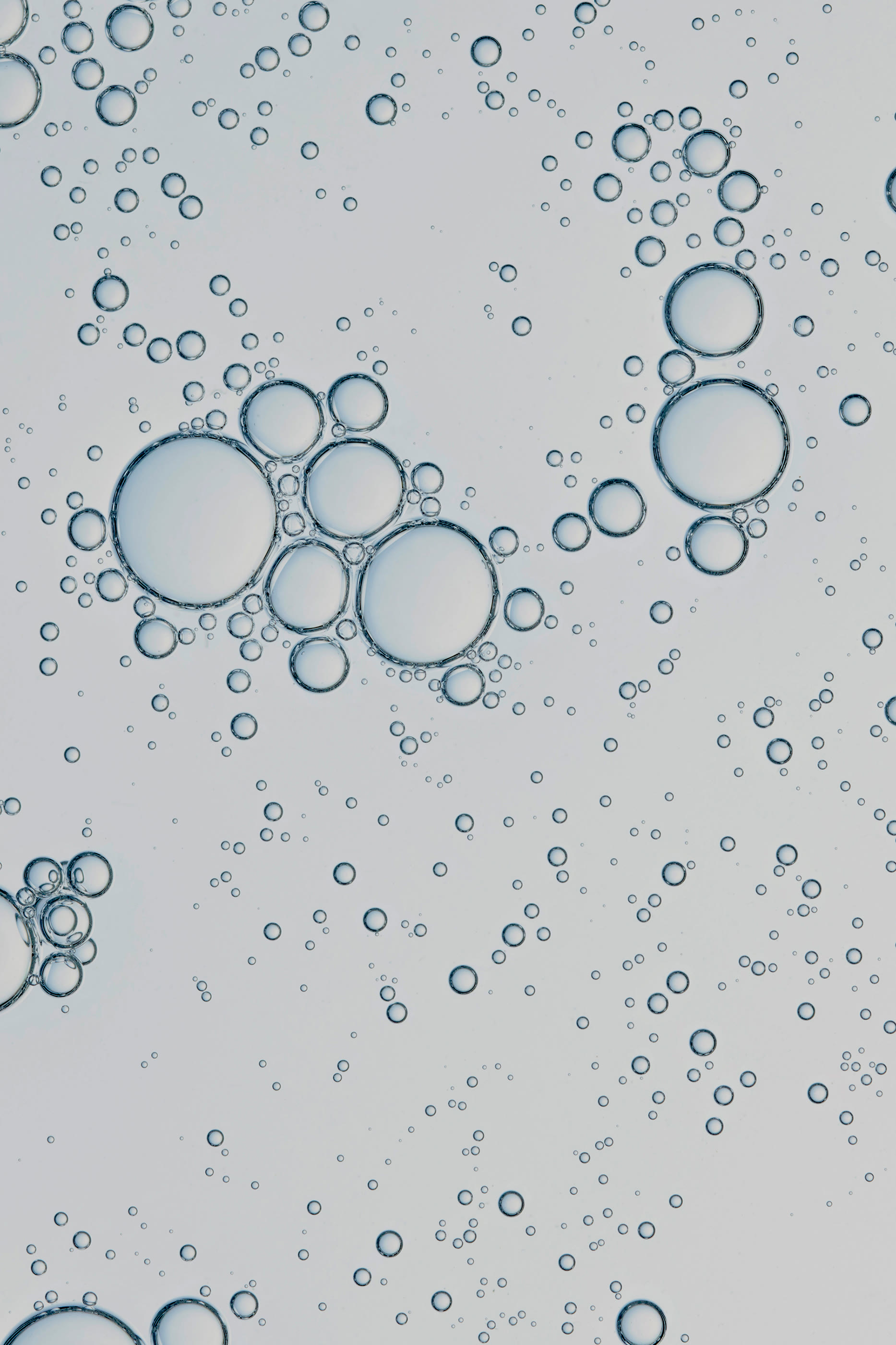 The Firming Concentrate, Set of 7 x 2ml