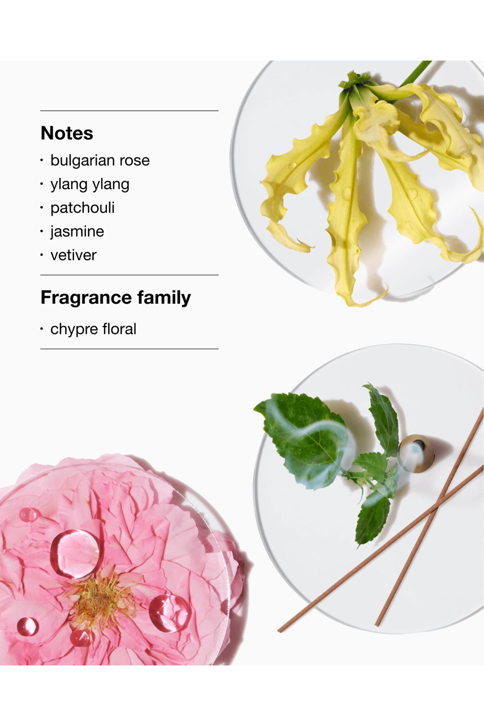 Aromatics Elixir Eau De Parfum