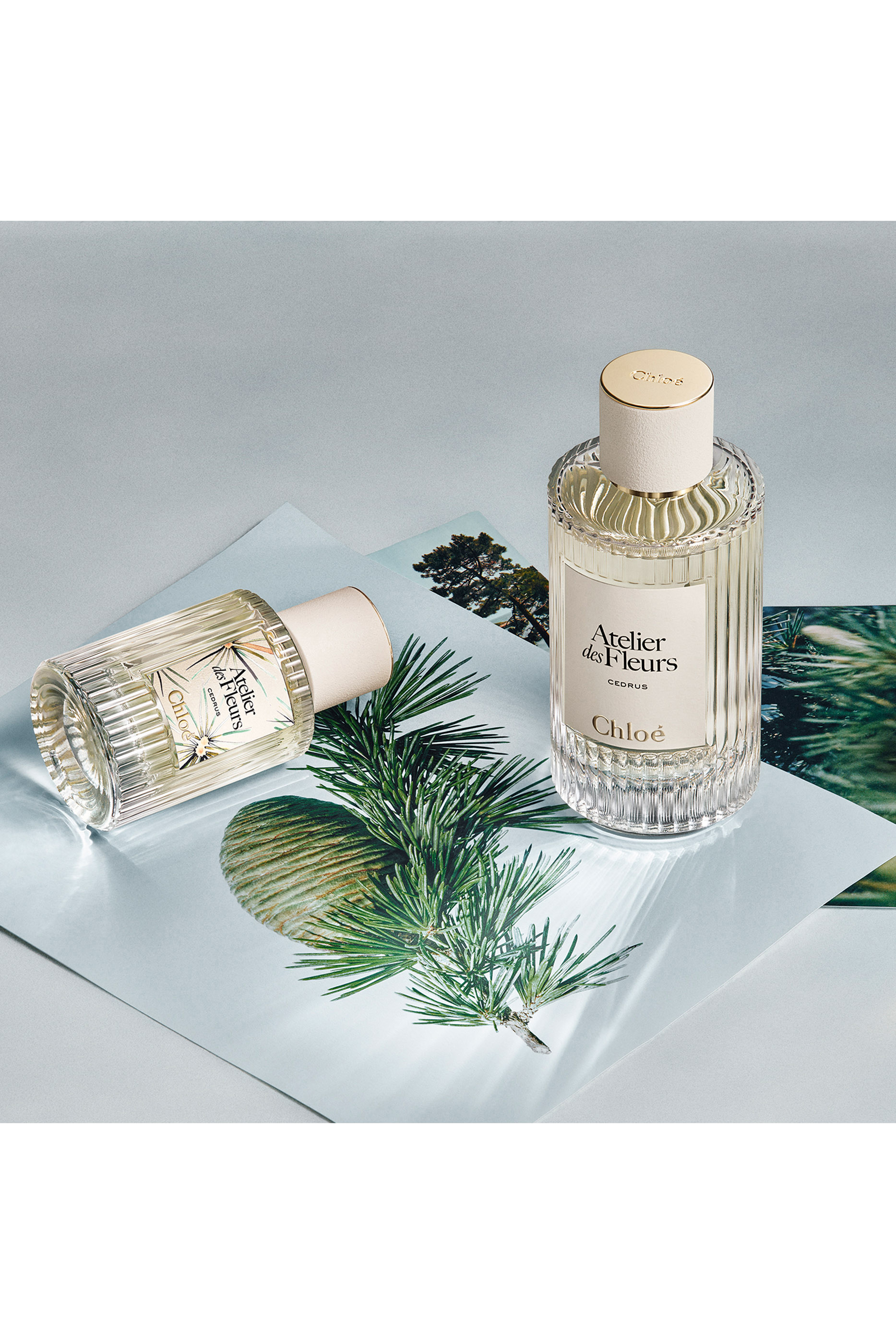Atelier des Fleurs Cedrus Limited Edition Eau de Parfum 